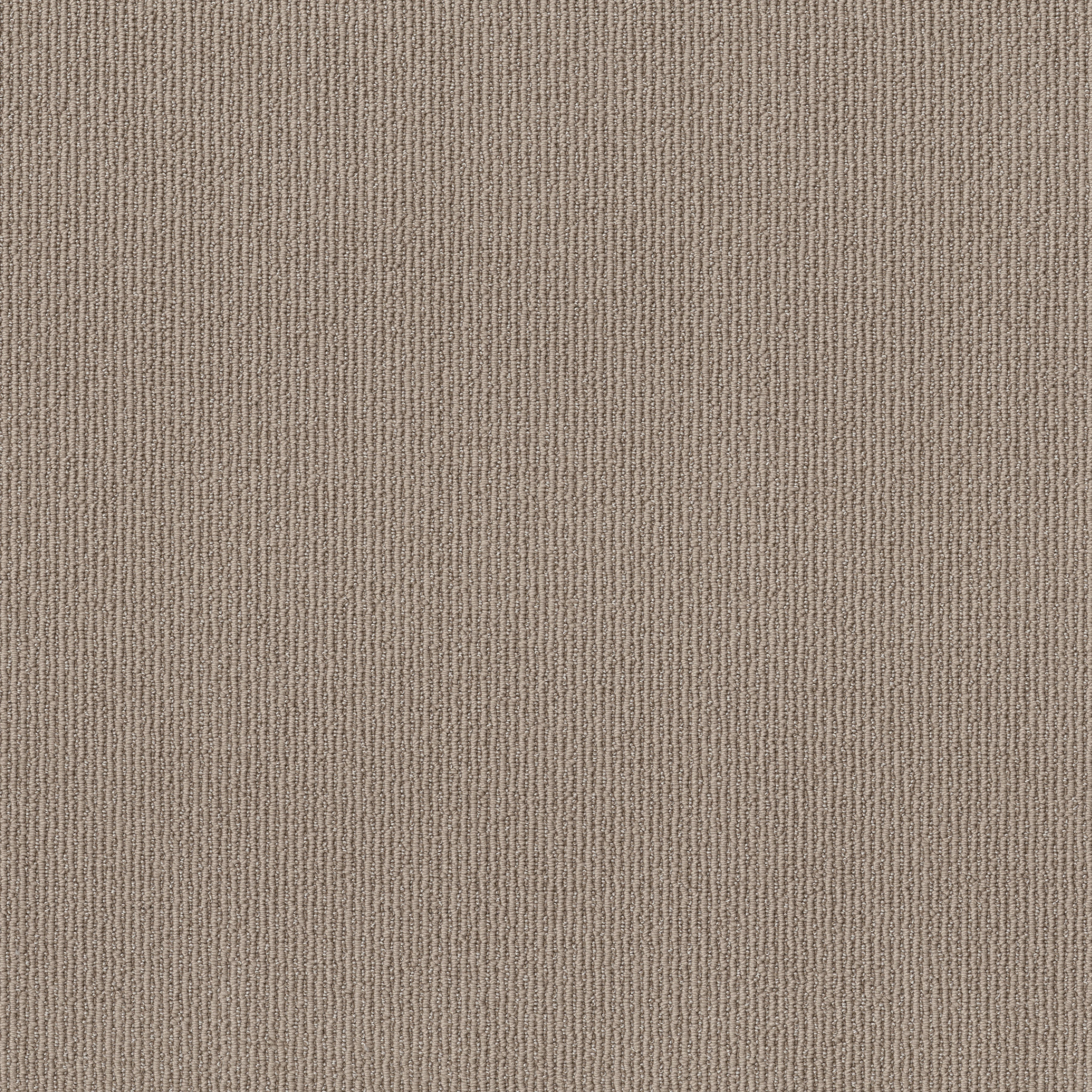 FEISTY SMOOTH TAUPE MAIN