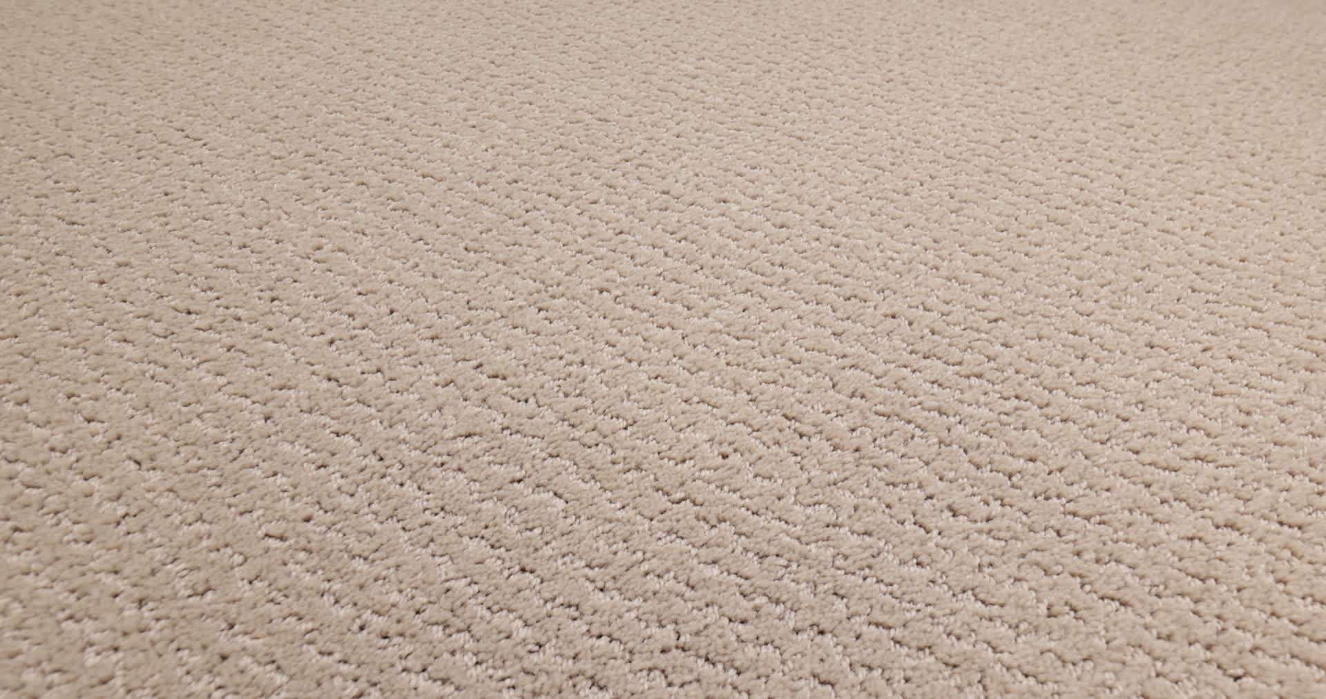 WARM MEMORIES MY HAVEN 360PROD