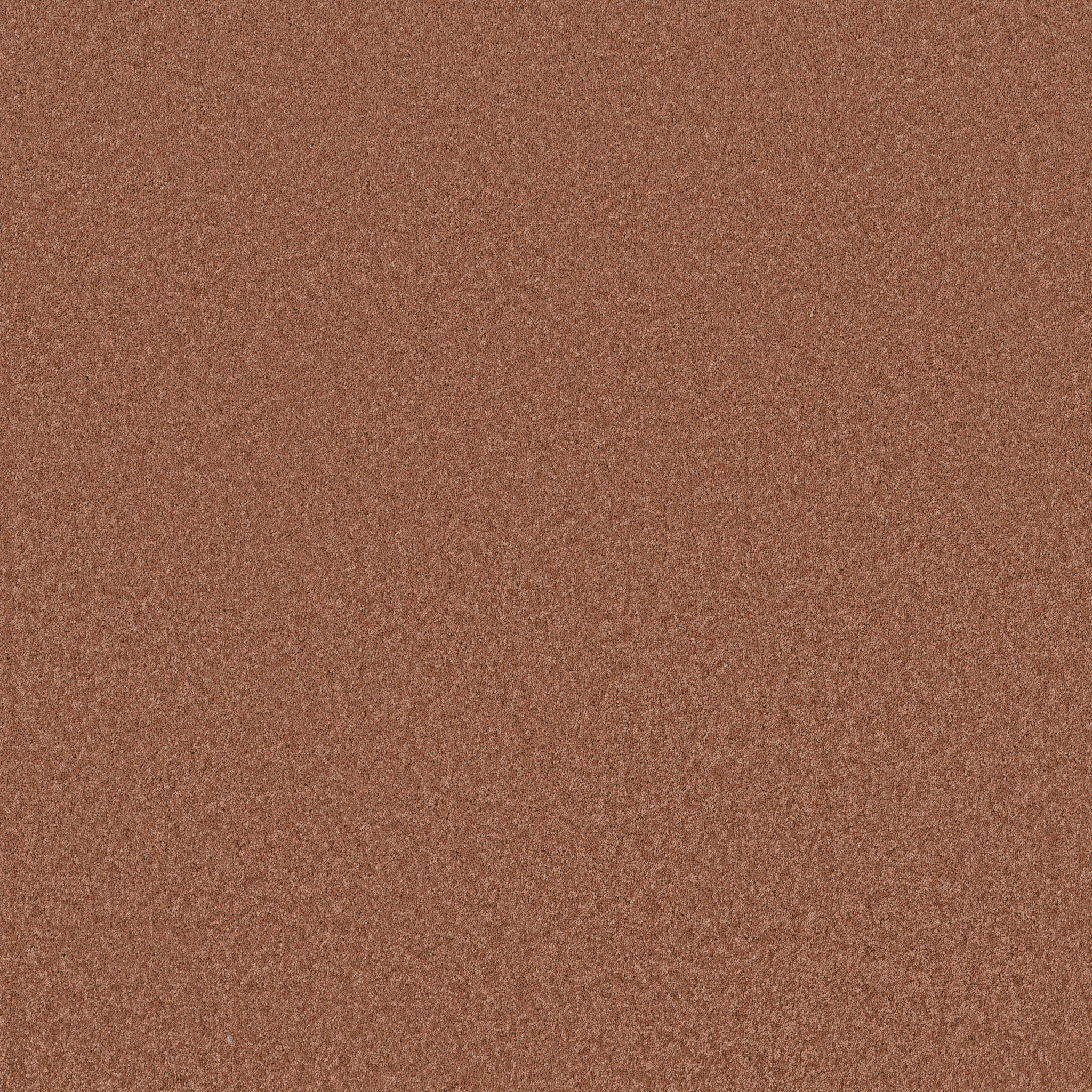 ENCHANTING CLAY MAIN