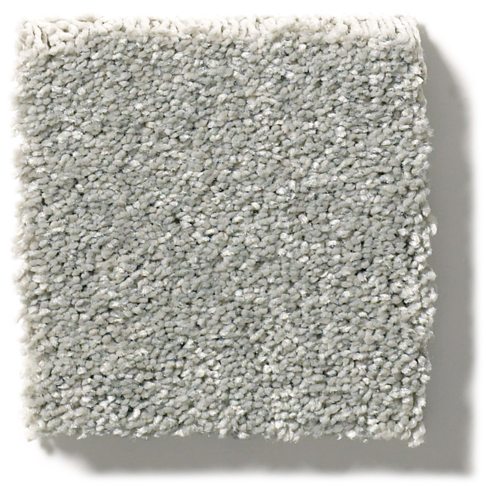 BASIC RULES STERLING SWATCH