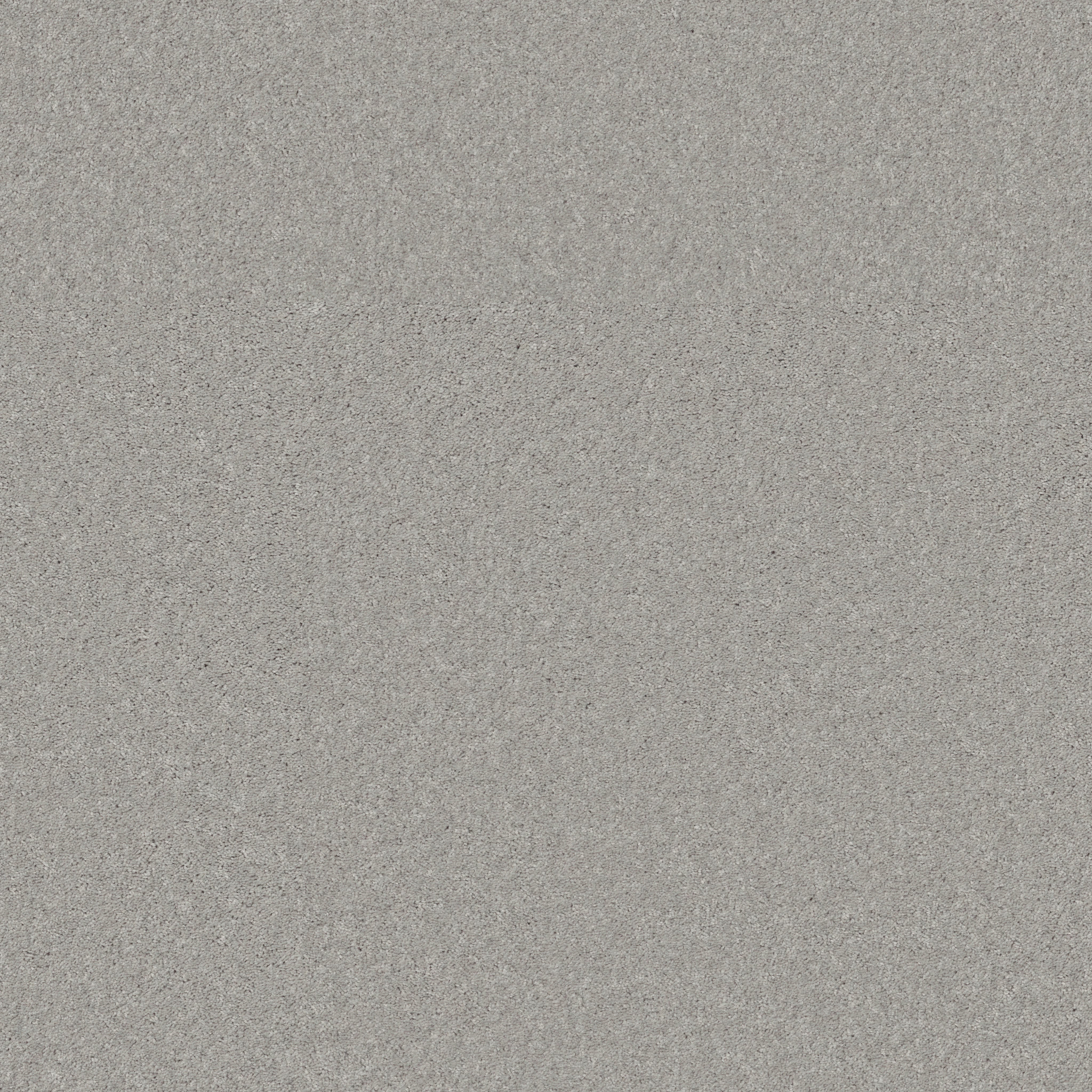 TURN THE PAGE II 15' DOVE TAIL MAIN