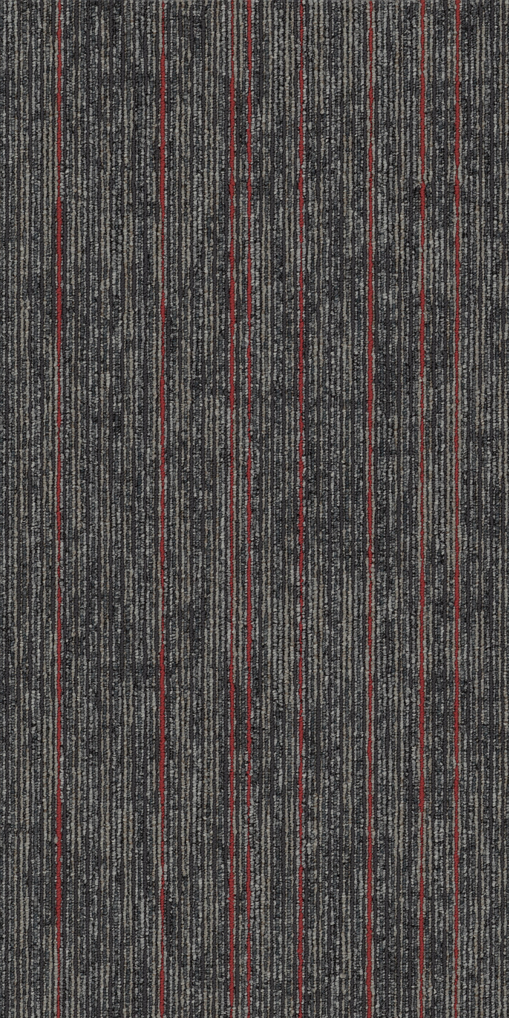 AIM-HIGH-54996-FORTITUDE-00508-main-image