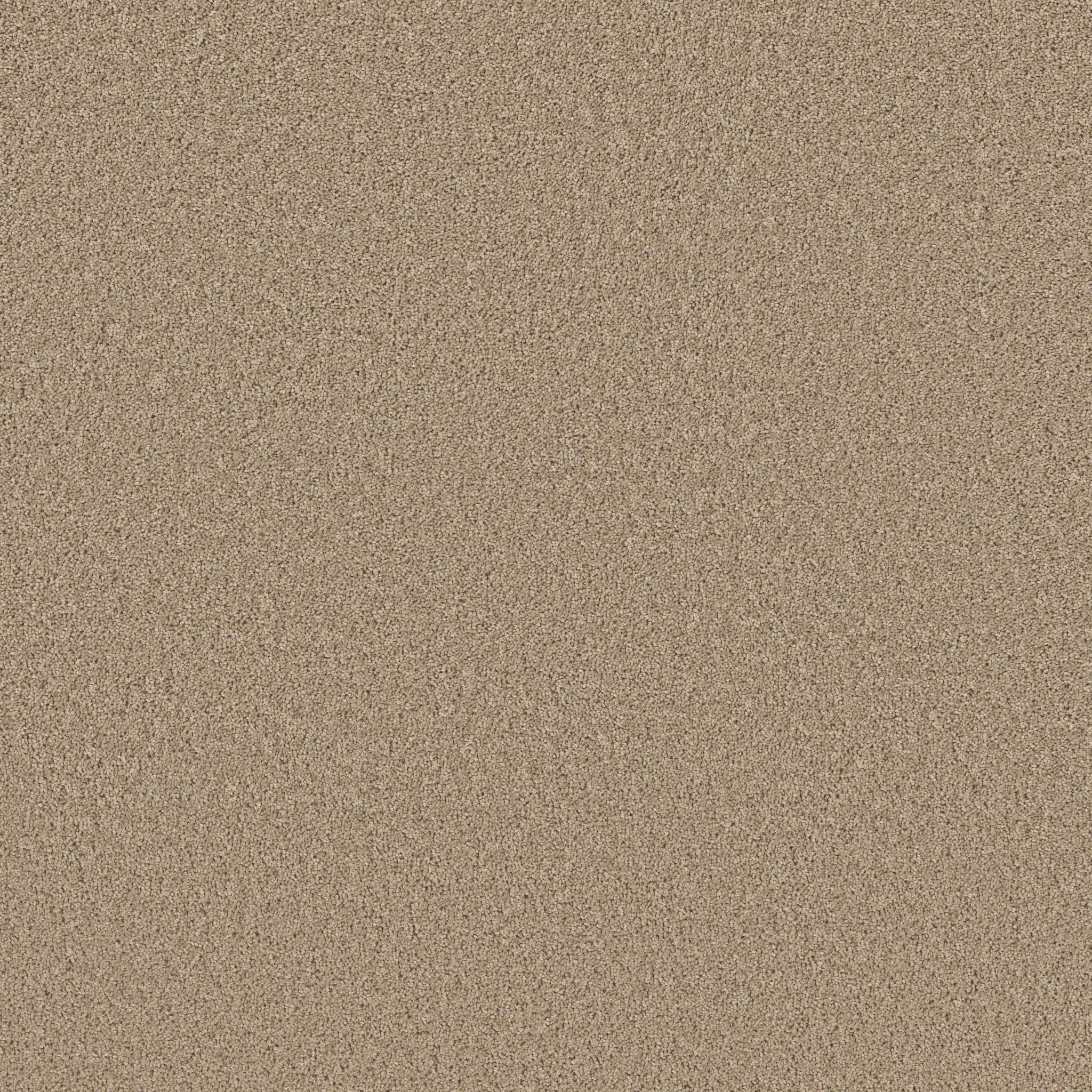 HIGH IMPACT S MYSTIC GOLD MAIN