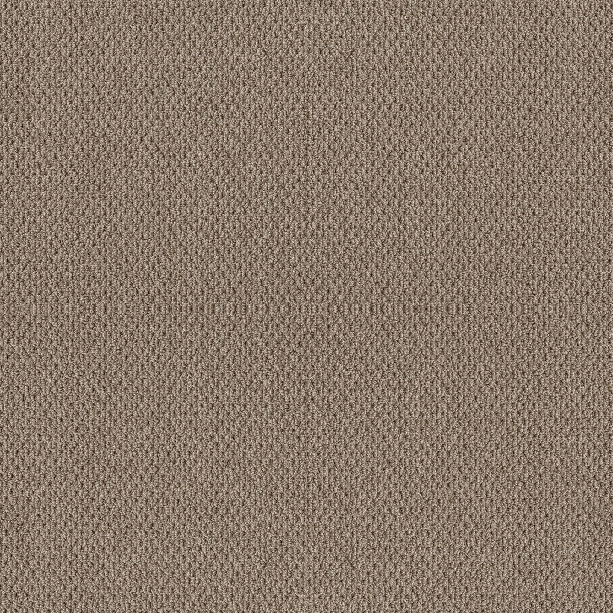 NATURALISTIC RAW WOOD MAIN