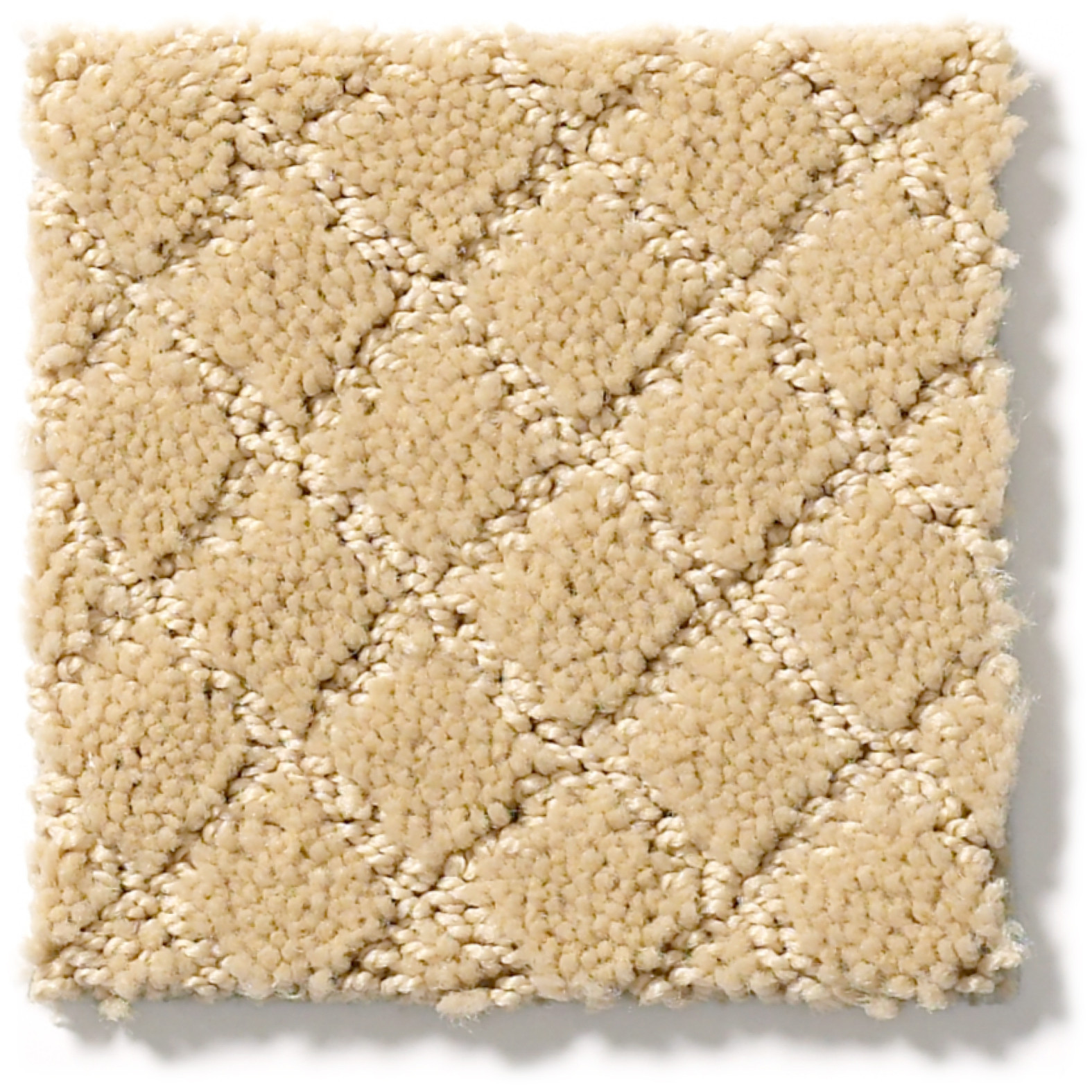 PAWNACHE CORK SWATCH