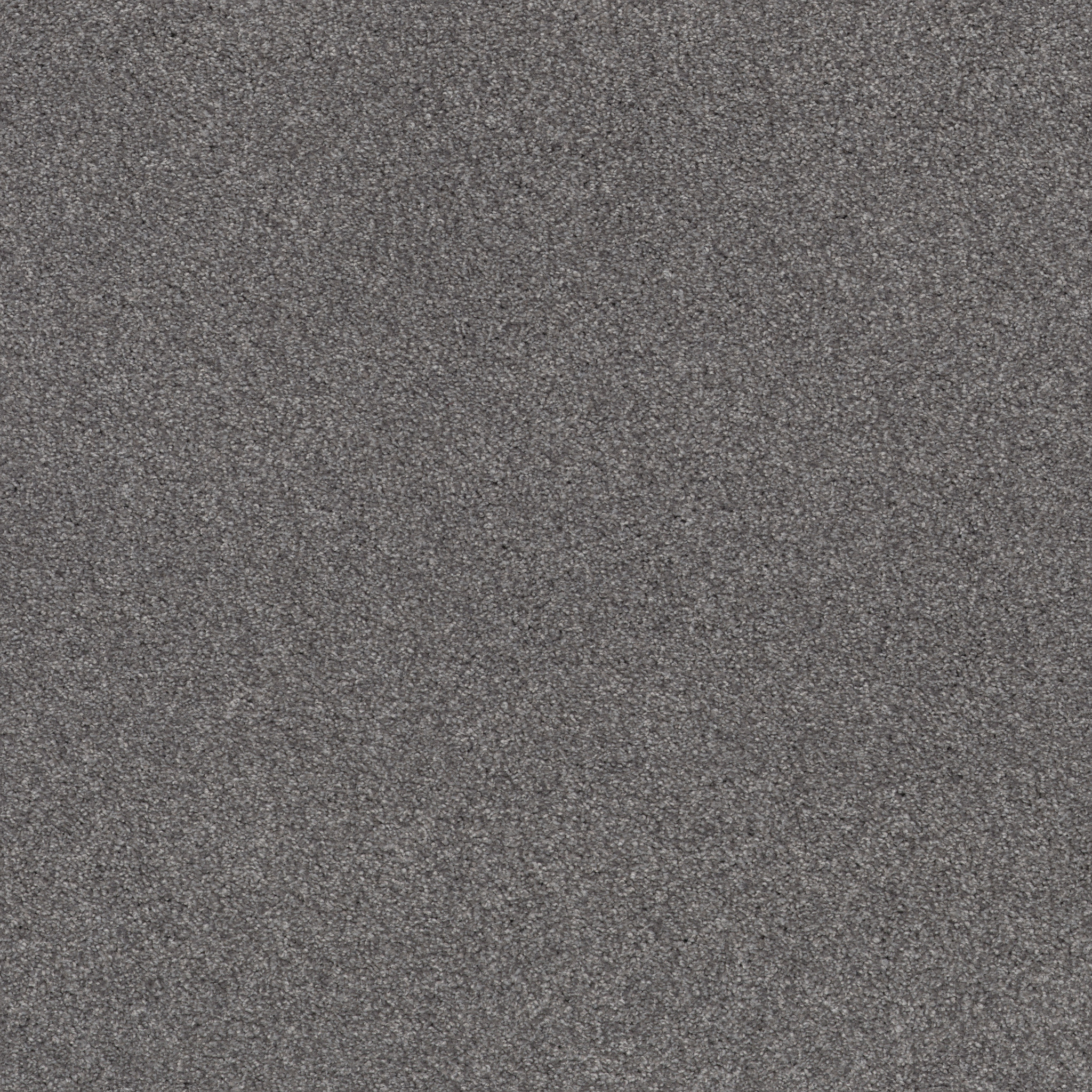 COZY HARBOR II WELL TRAVELED MAIN