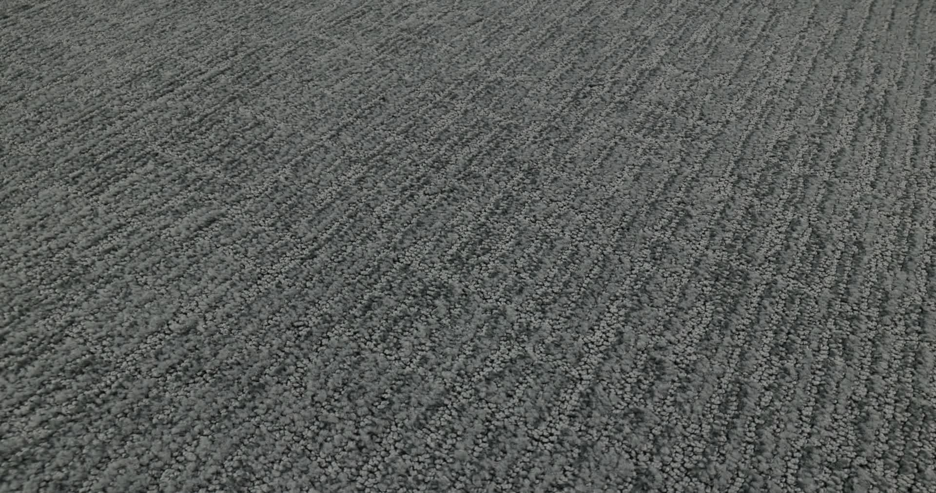 WANDERER CLEARSPRING 360PROD