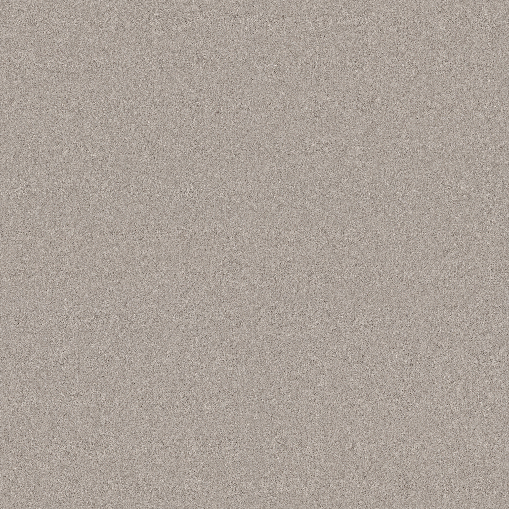 Find your comfort I - Solid NEED A HUG (S) MAIN