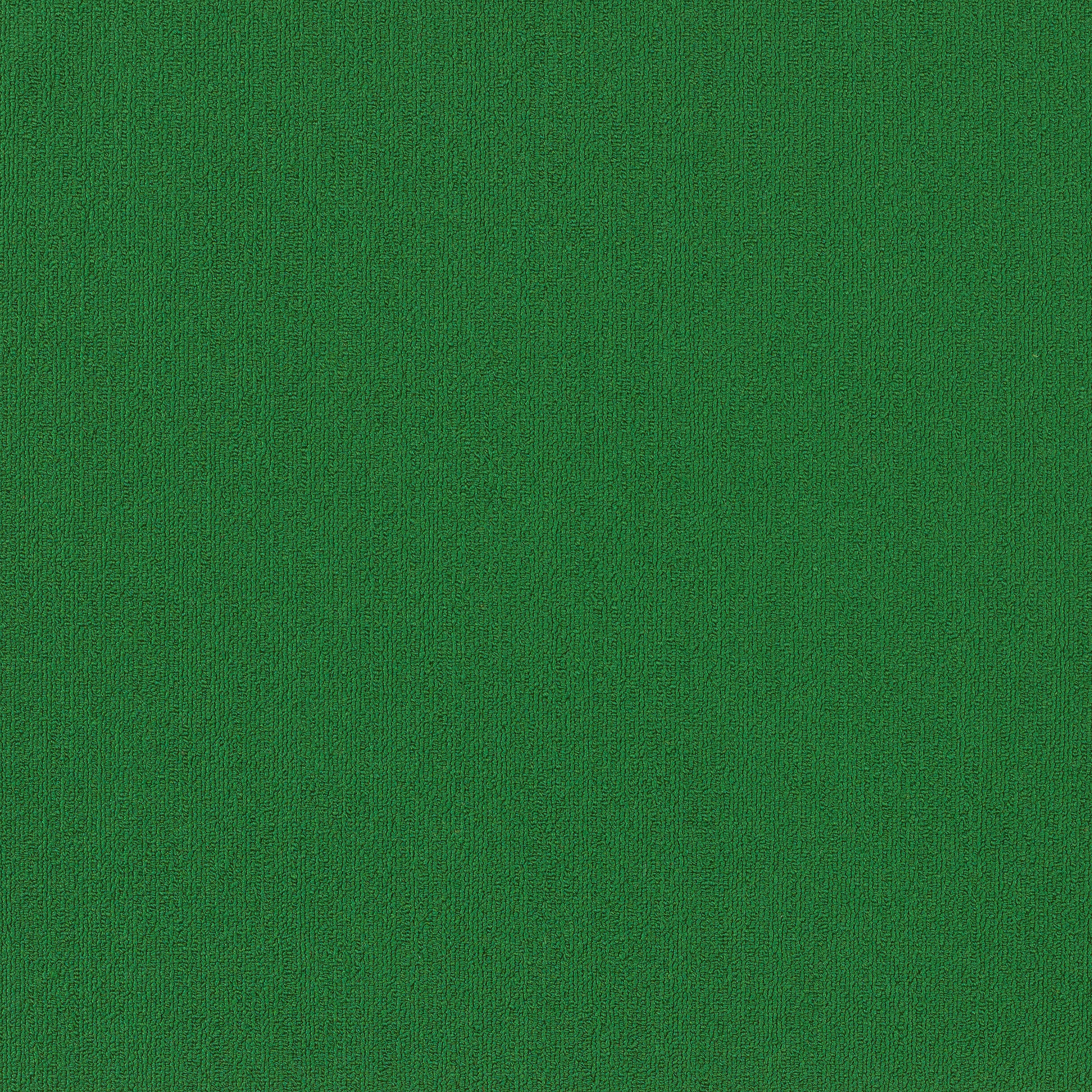 COLOR-ACCENTS-BL-54584-DARK-GREEN-62375-main-image