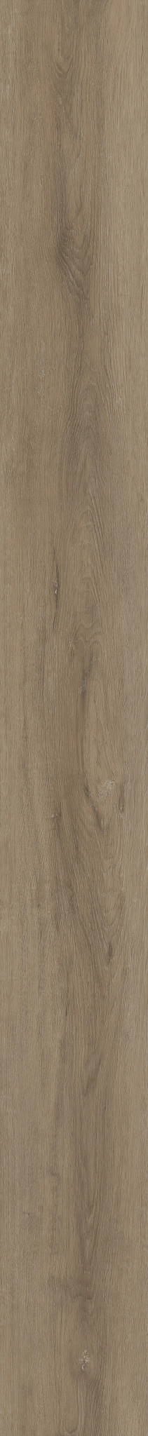 GRANDE ELLIDY OAK 1TO1