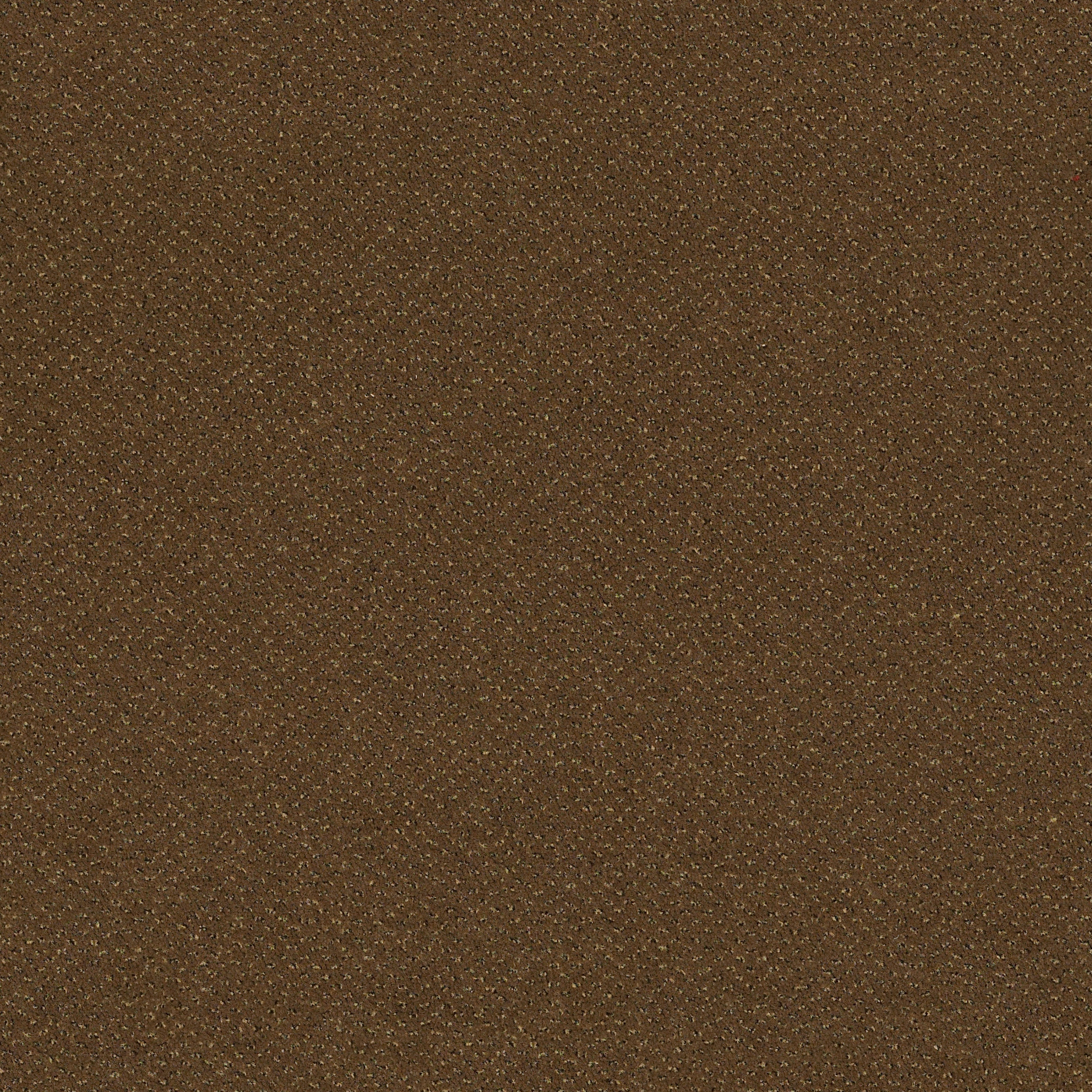 FUTURE-GENERATIONS-54644-CULTURAL-44702-main-image