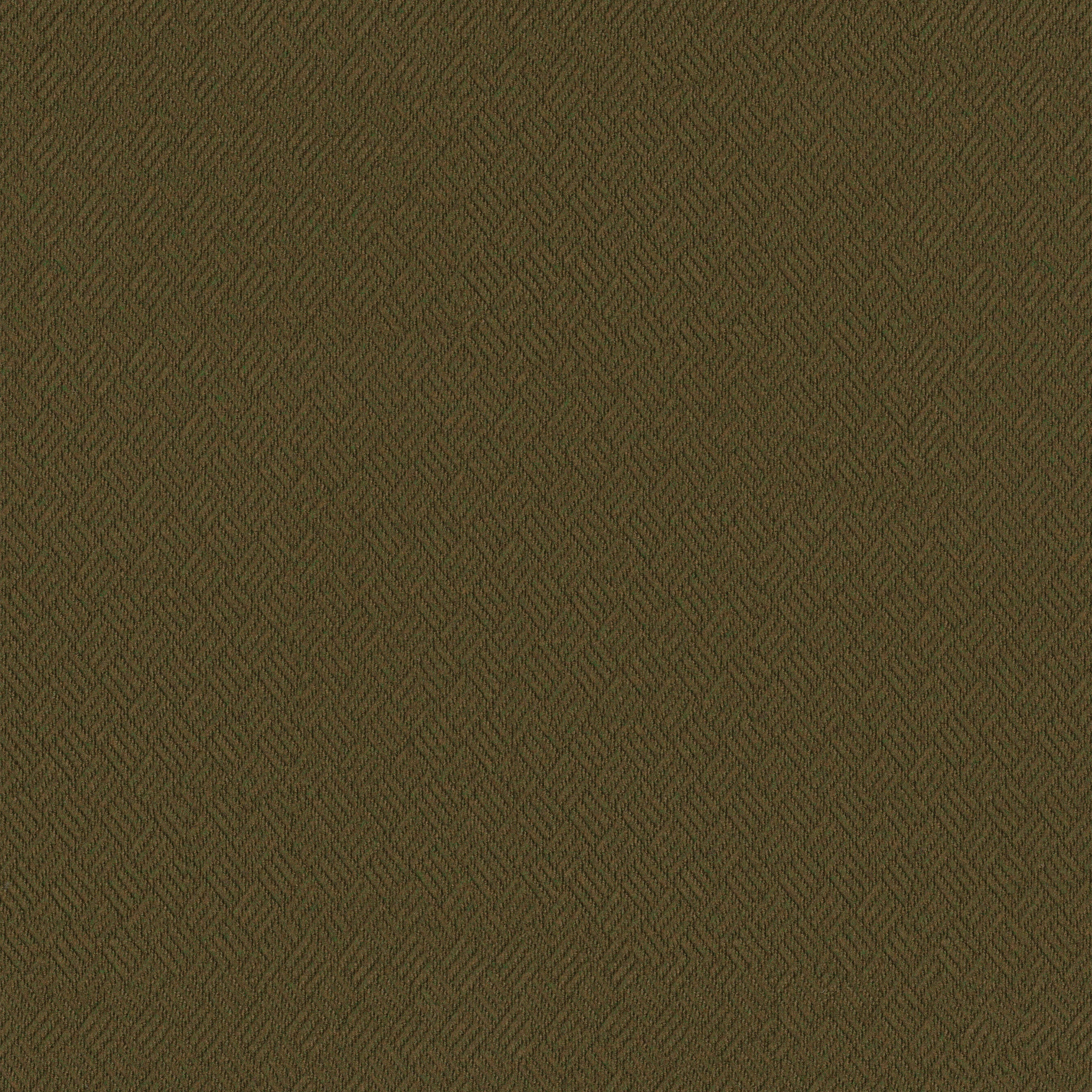 DREAMWEAVER 54690 OLIVE AMBER 00300 main image