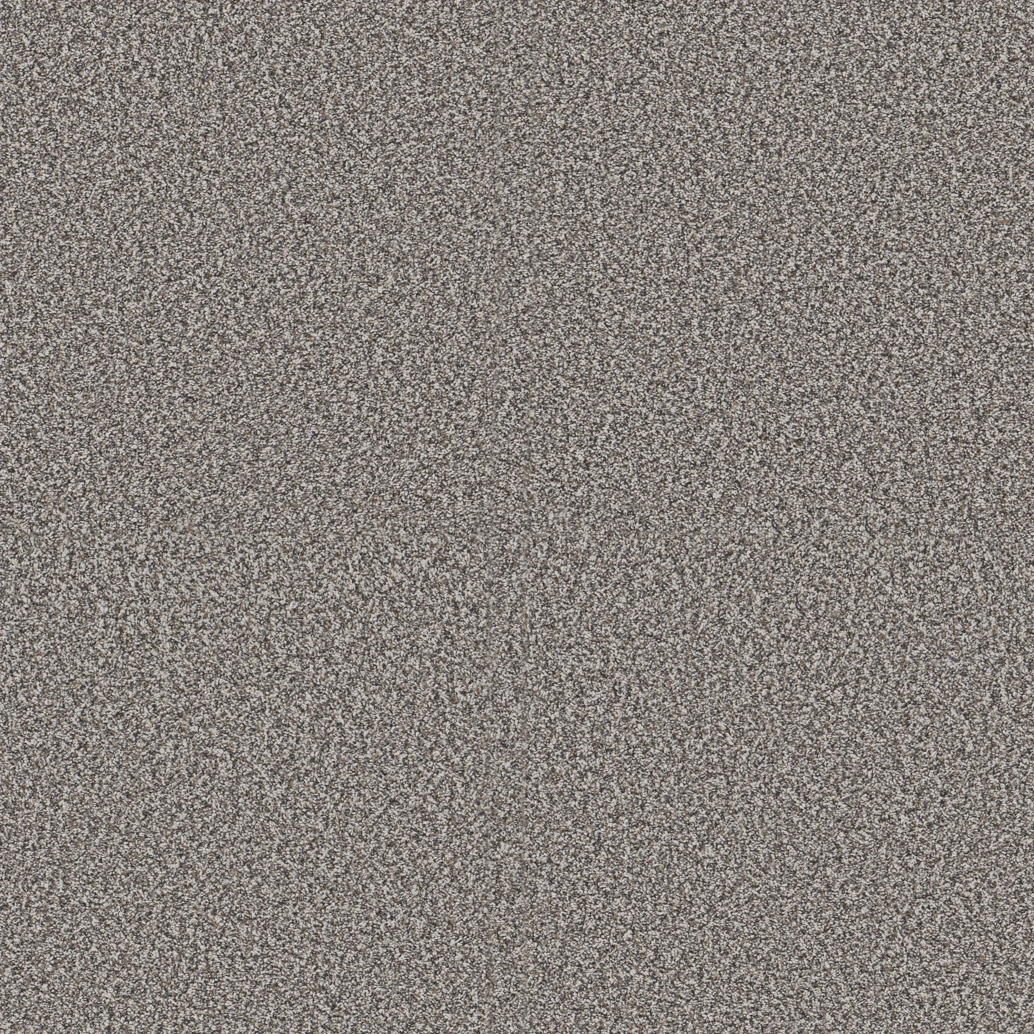 Textured grey carpet swatch showcasing a blend of light and dark grey fibers for a cozy and durable flooring option
