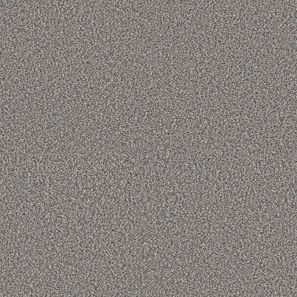 Durable Grey Carpet for Everyday Comfort and Style Textured grey carpet swatch showcasing a blend of light and dark grey fibers for a cozy and durable flooring option