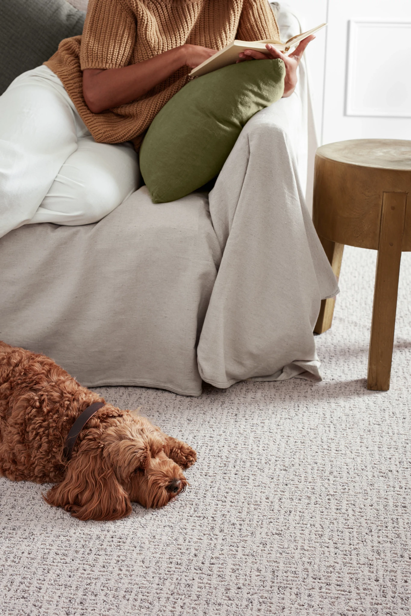 Woman reading a book on a sofa with a dog lying on a textured gray broadloom carpet