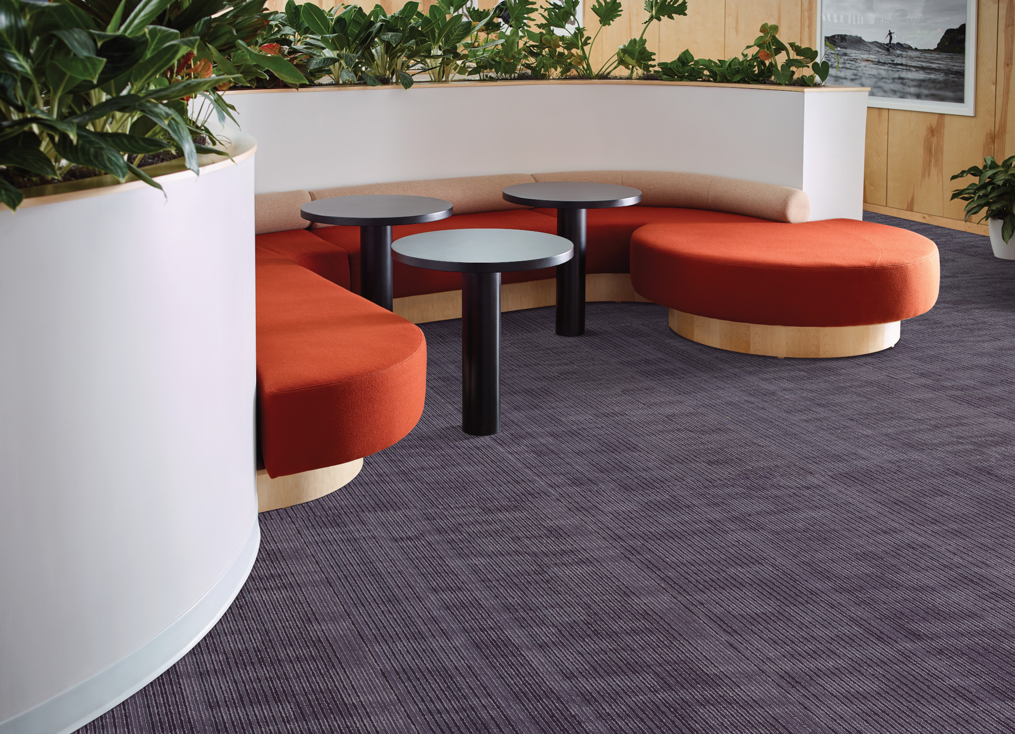 ENCODE 54926 TECHNO 00900 room image