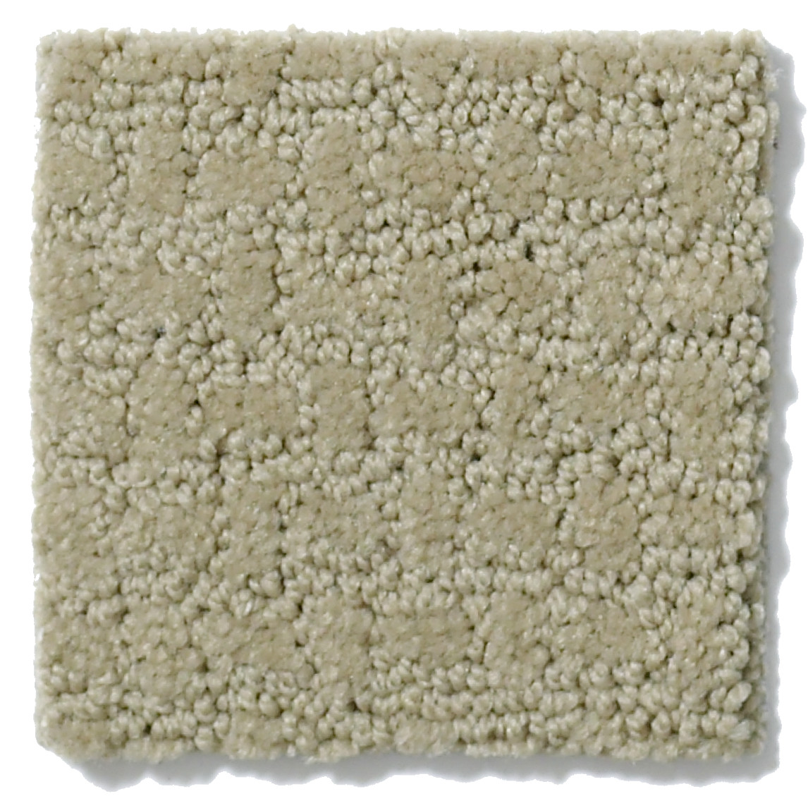 PROPEL WOOL SKEIN SWATCH