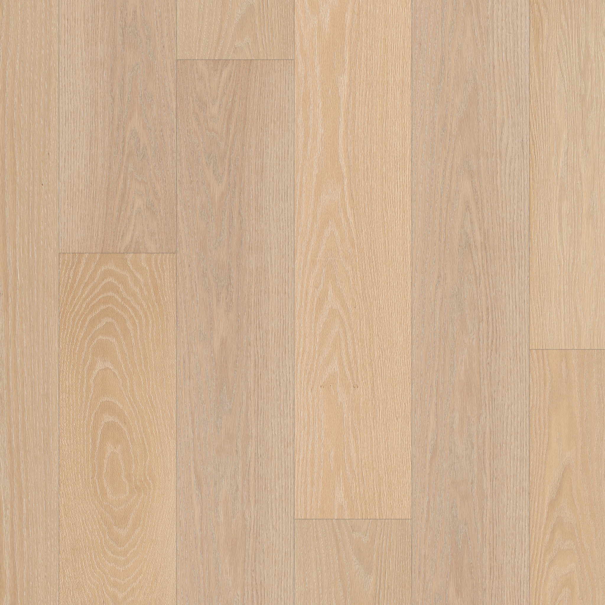 SIGNATURE OAK ICON MAIN