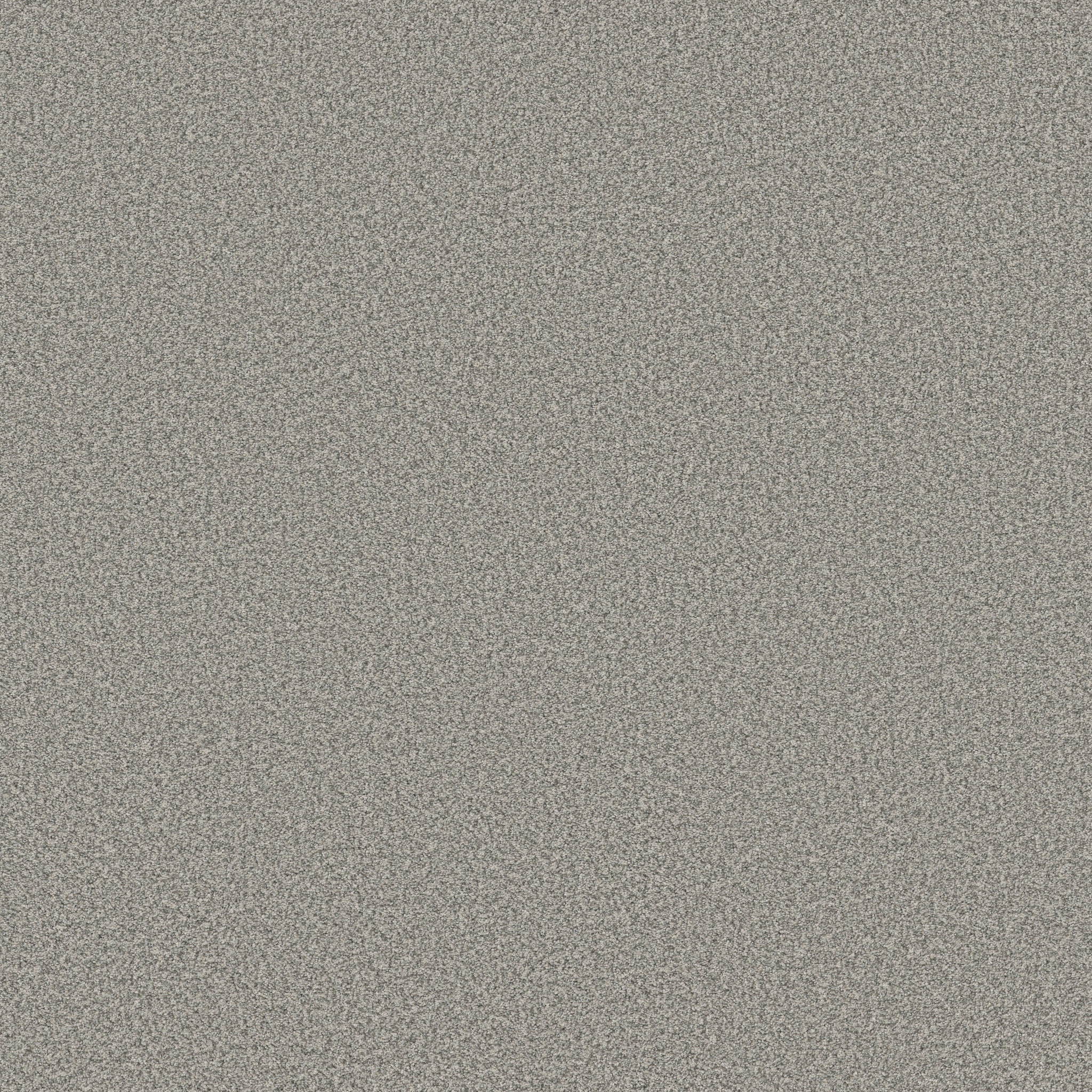 SOMERSET PLATINUM MAIN