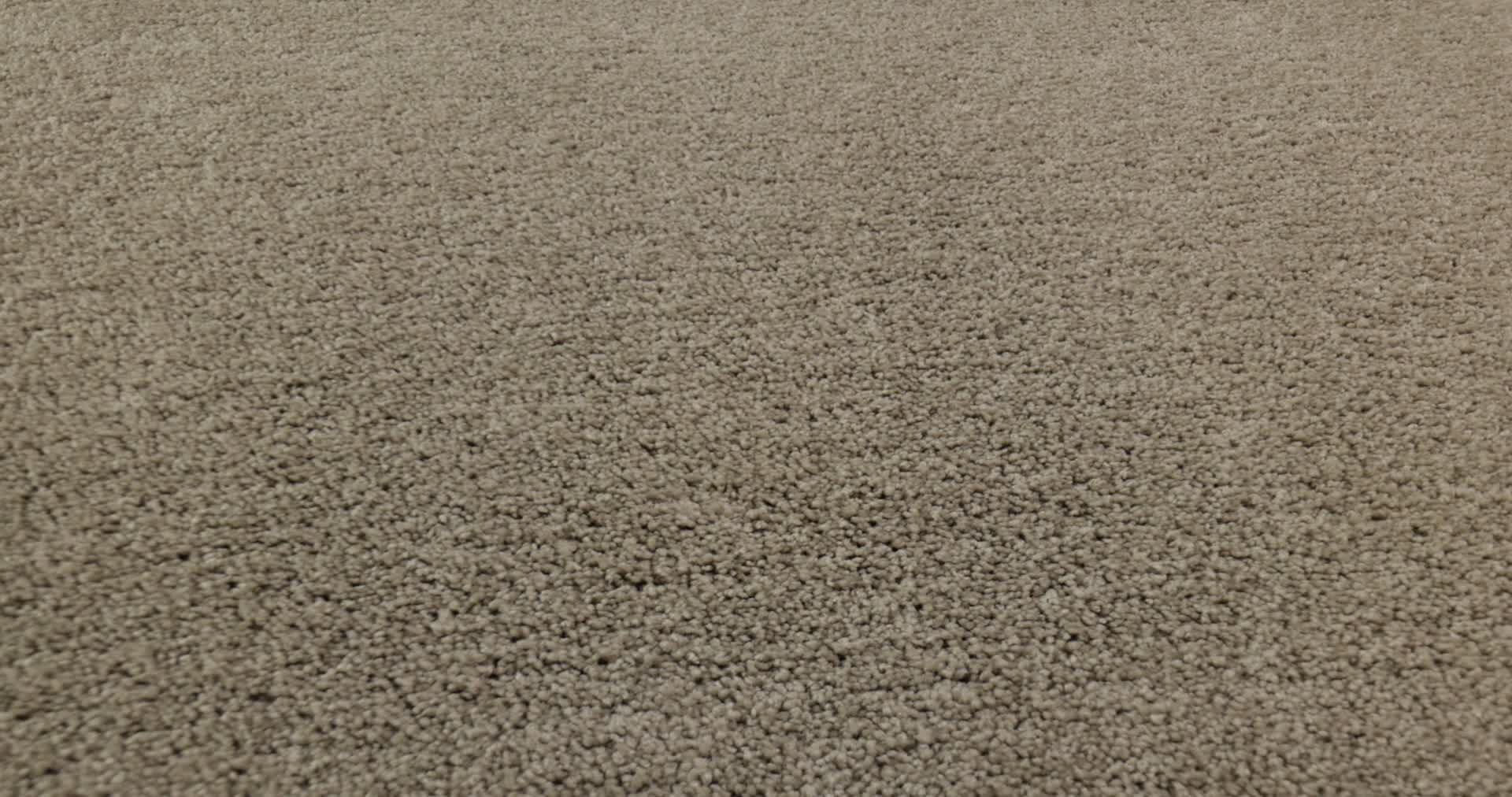 LAGUNA BEACH COASTAL FOG 360PROD