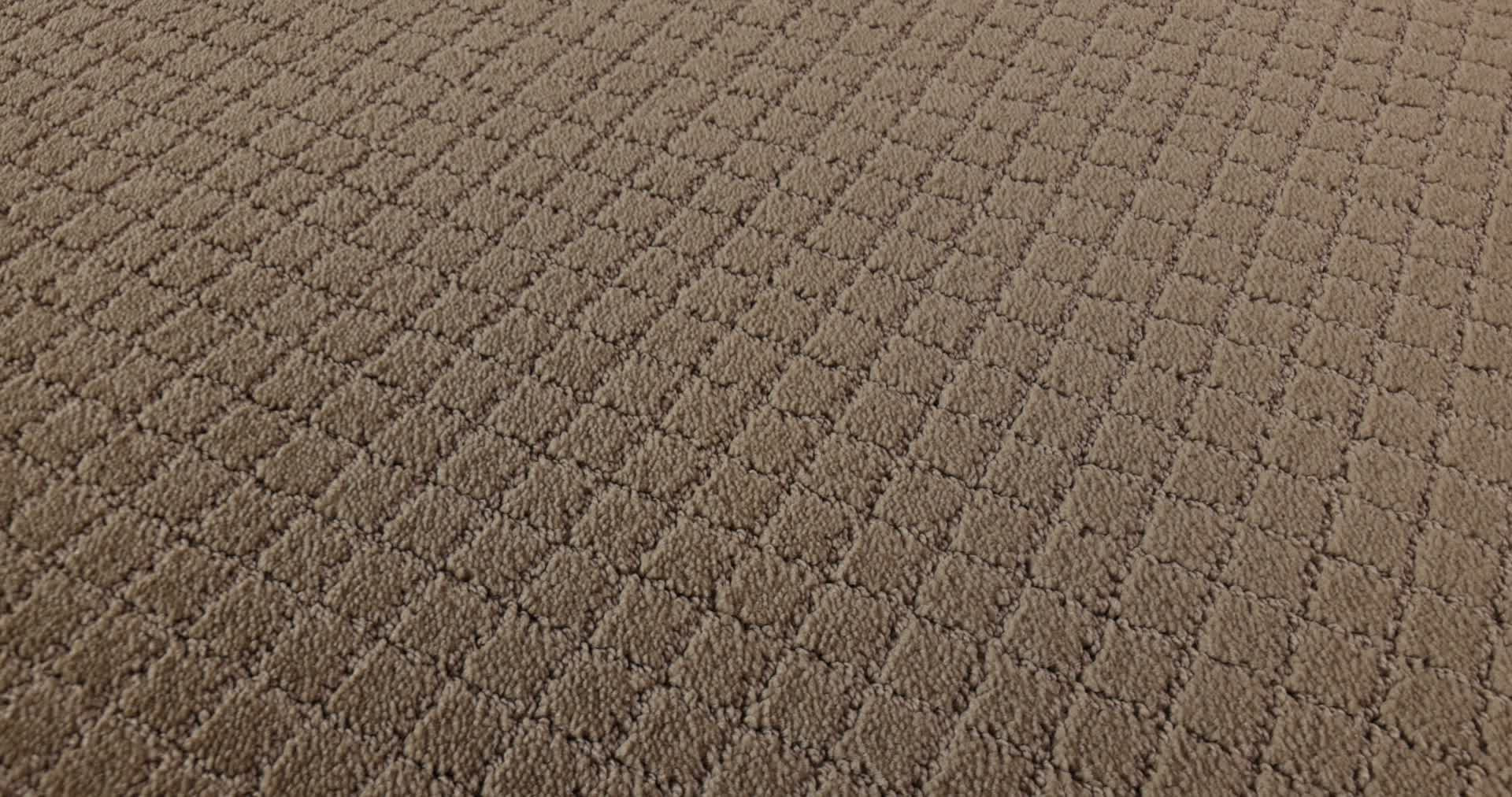 PAWNACHE PEANUT SHELL 360PROD