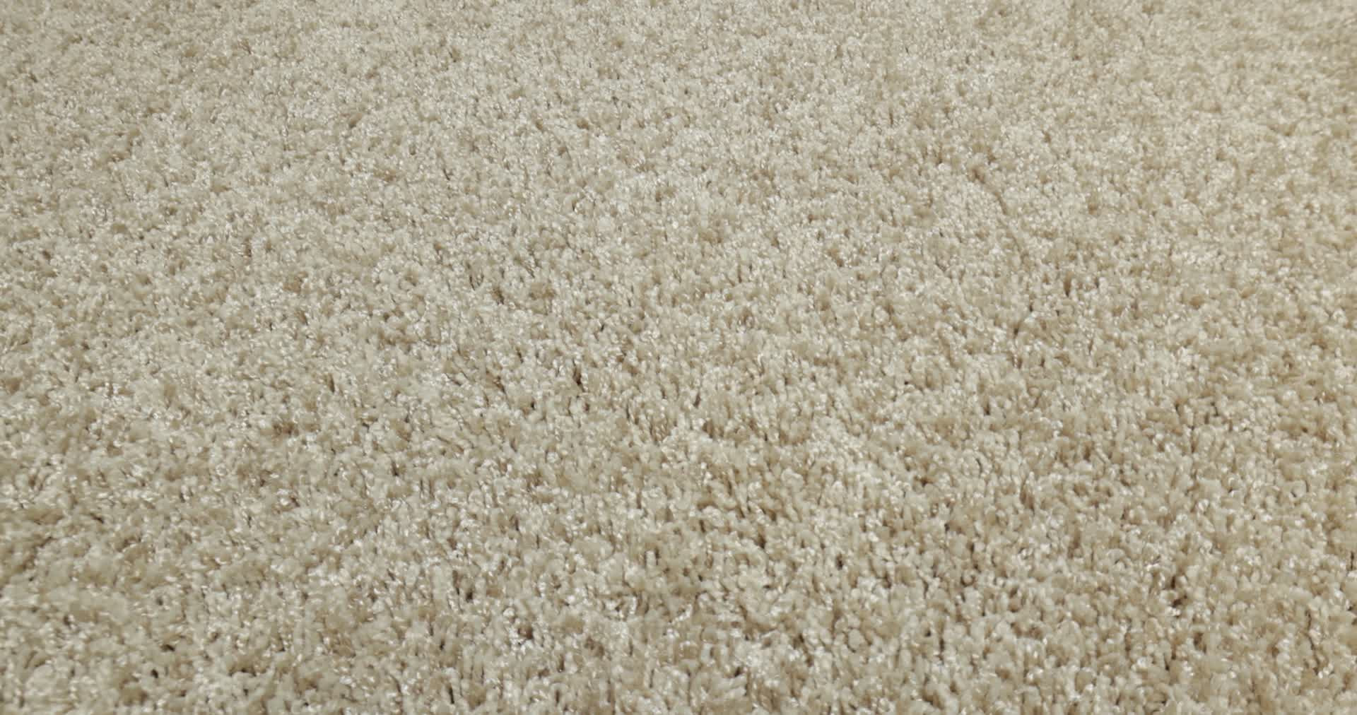 COOL FLAIR DANDELION 360PROD