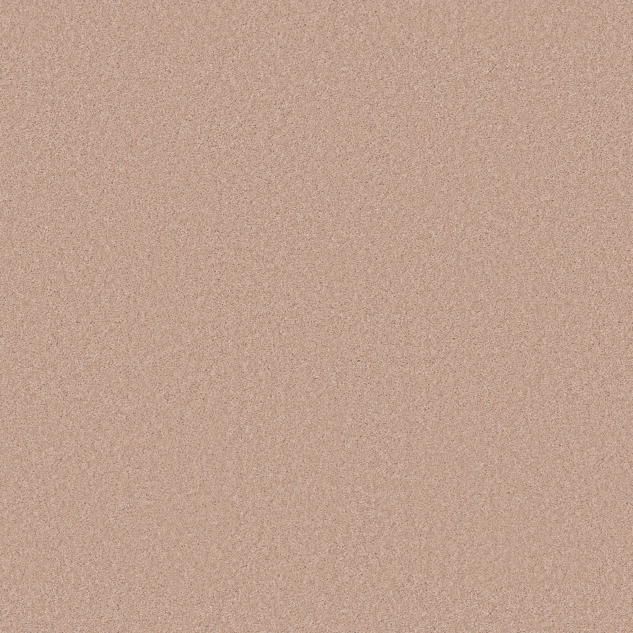 ENDURING CHARM APRICOT ICE MAIN