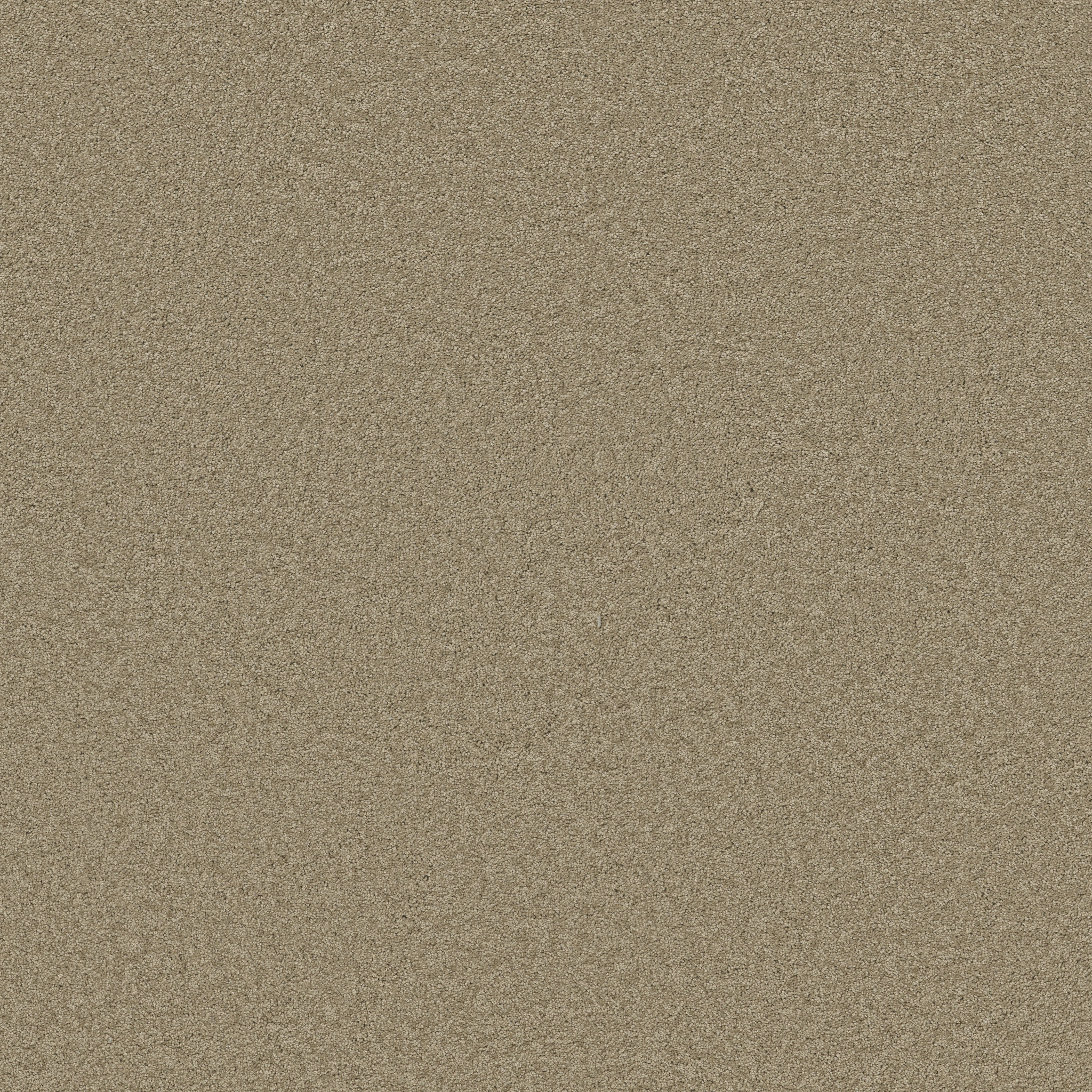 GRAND IMAGE III DRIFTWOOD MAIN