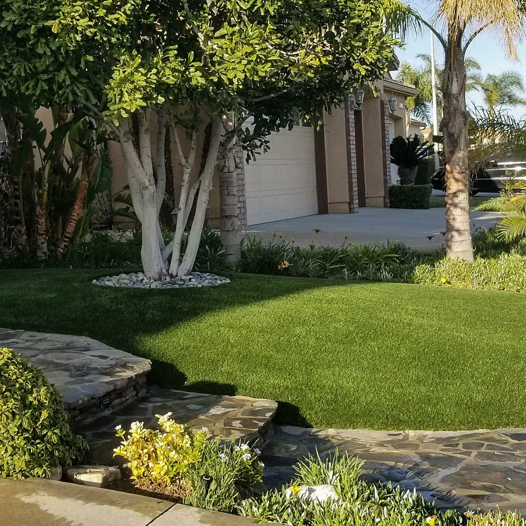 Lush green lawn in a suburban front yard