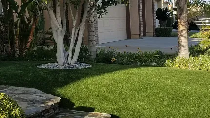 Beautifully landscaped front yard with vibrant grass Lush green lawn in a suburban front yard