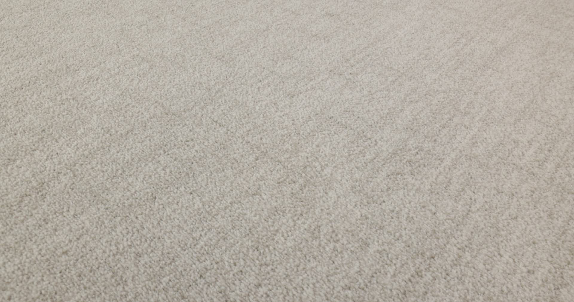 SILHOUETTE DOVE 360PROD