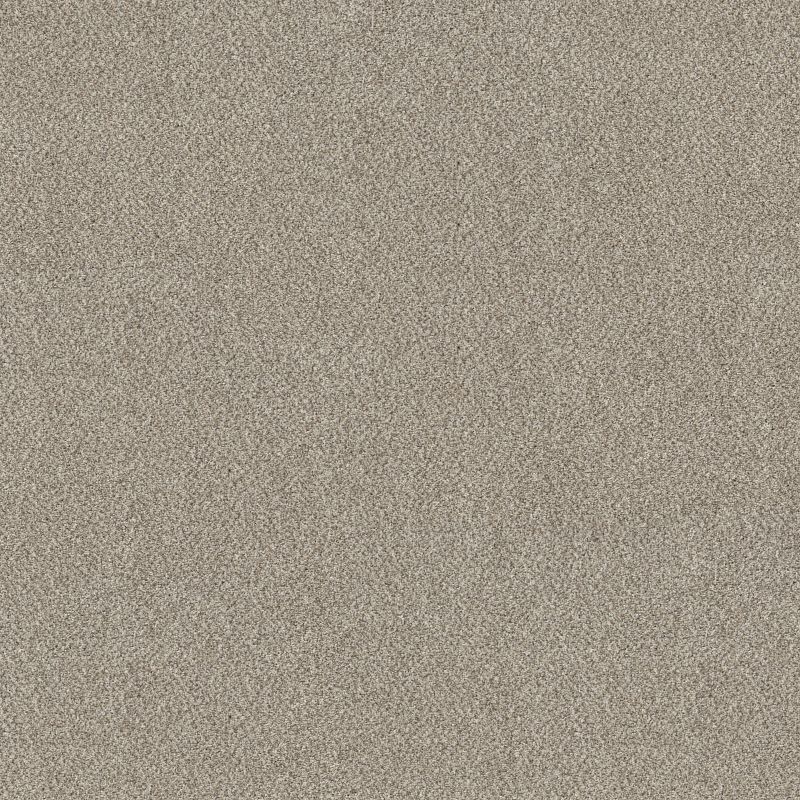 Truspirit I 5E496 Broadloom Carpet in Timeless Tan, 12ft wide, made of 100% PET fiber.