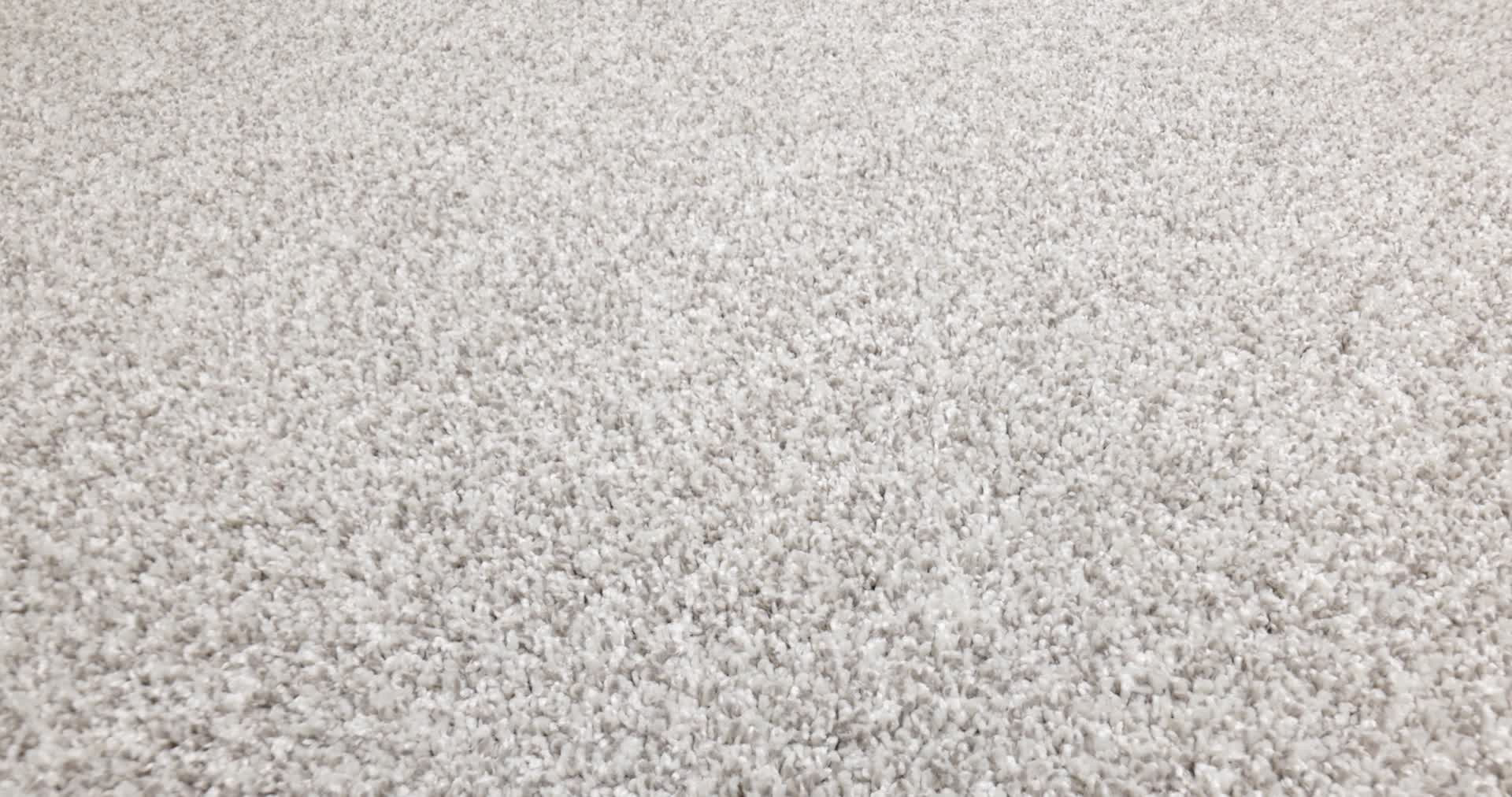 YES YOU CAN II 12' FROZEN 360PROD