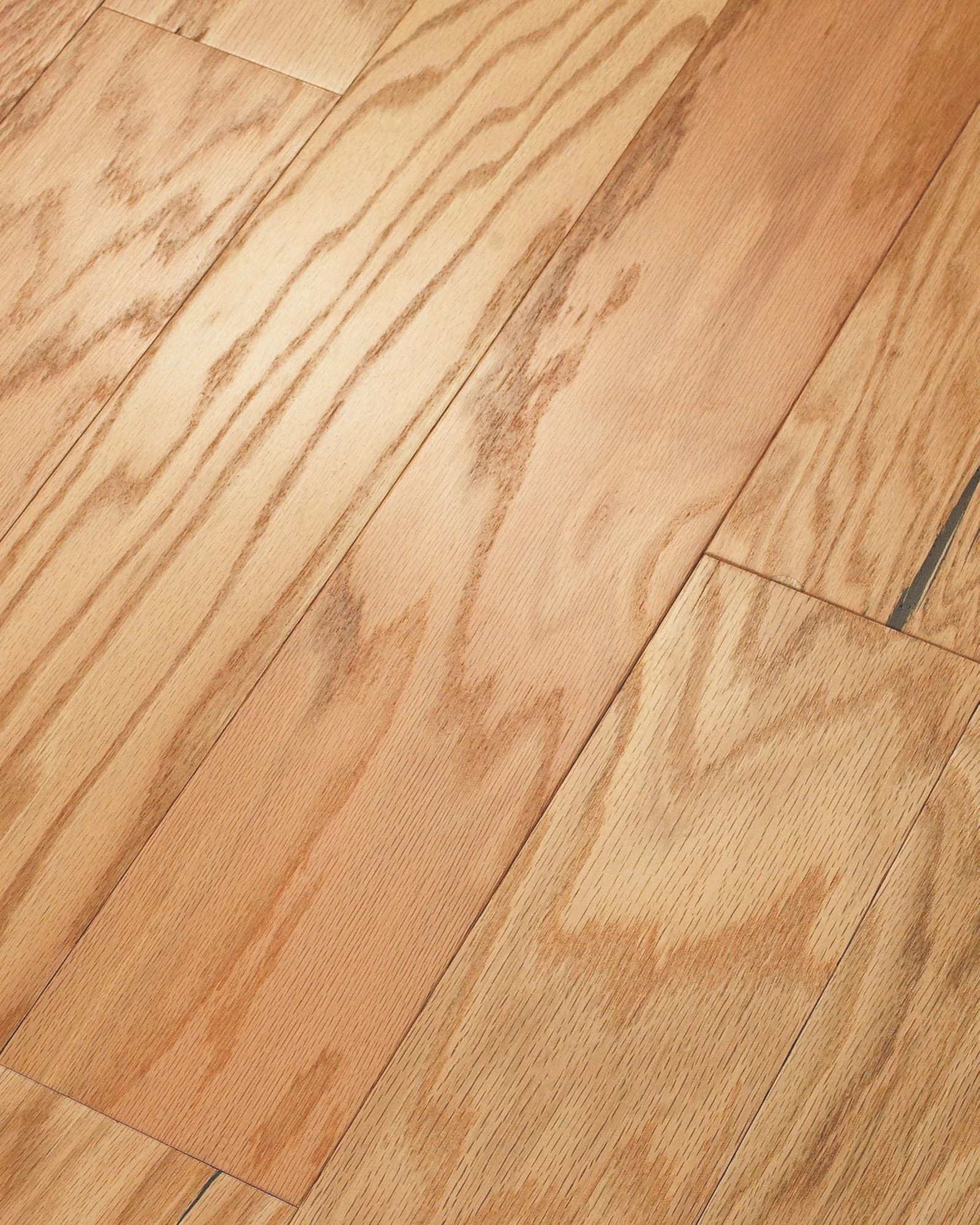 TIMELESS OAK 5" NATURAL ANGLED