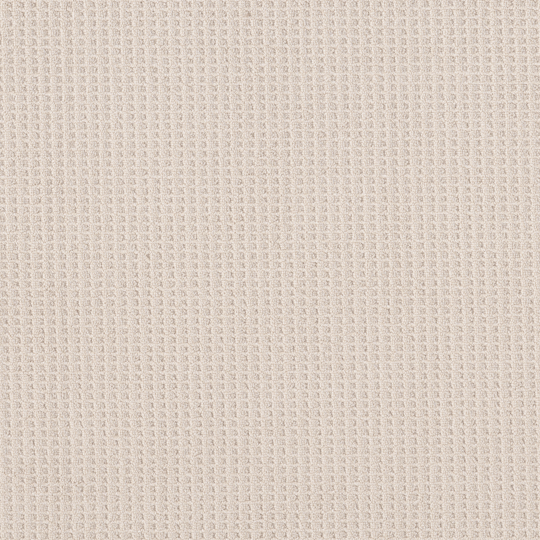 AG New Adventure NIGHT LIGHT MAIN