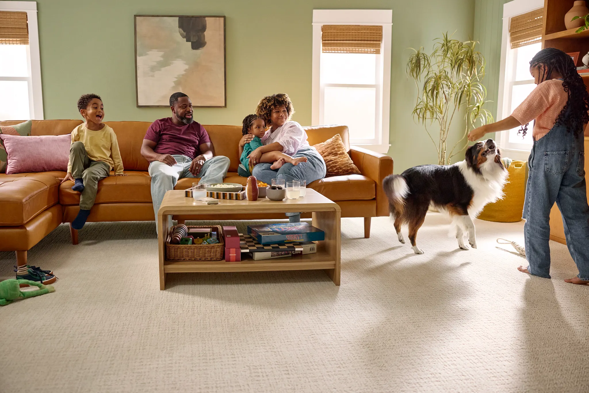 Cozy living room with a black and white dog resting on a beige dog bed, surrounded by a warm, textured carpet flooring