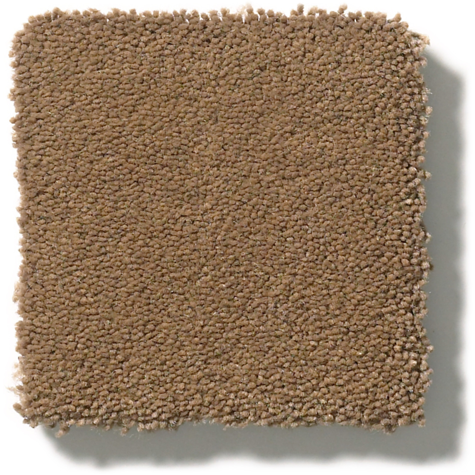 PERFECT CHOICE MYSTIC BROWN SWATCH