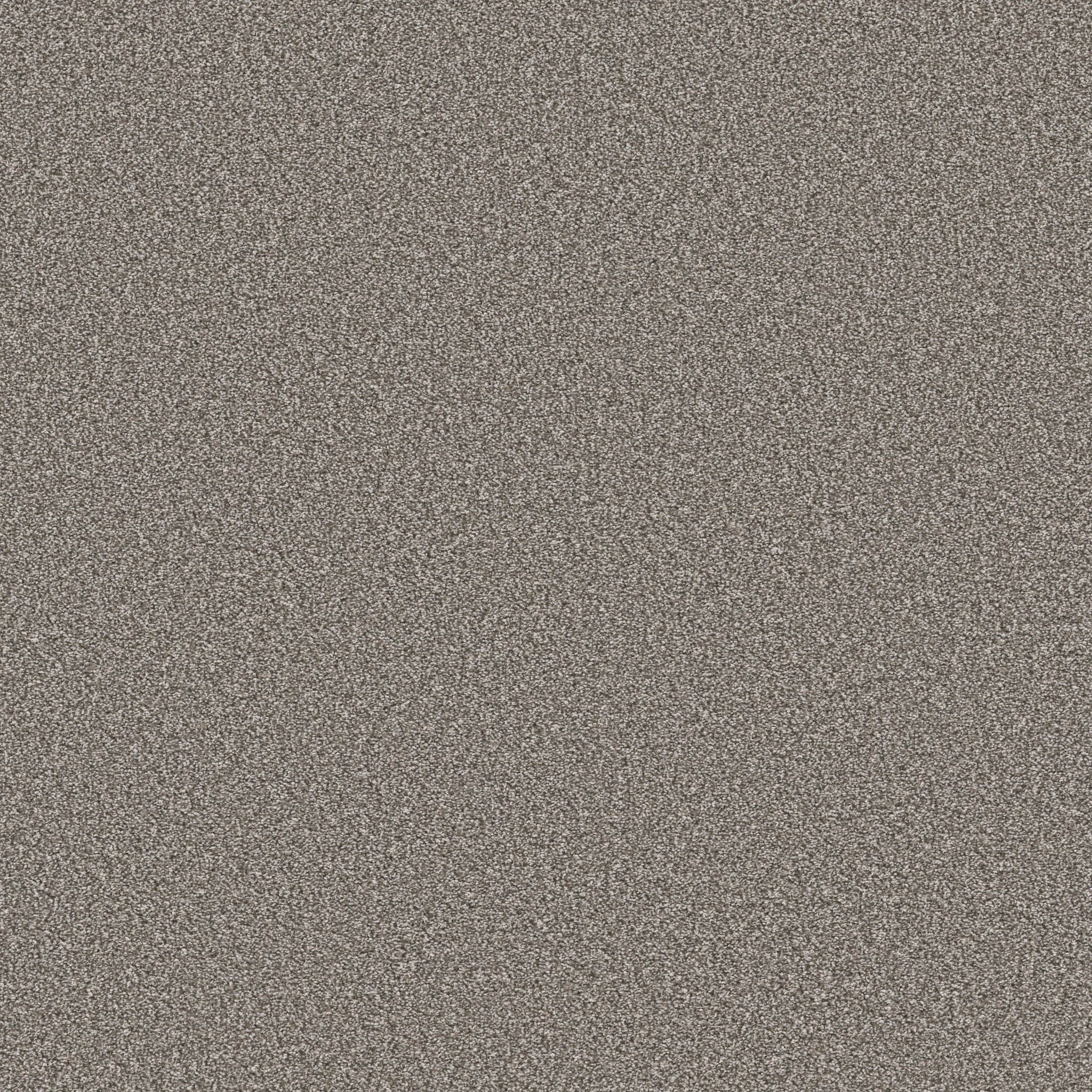 TRUSOLUTIONS II TREE BARK MAIN