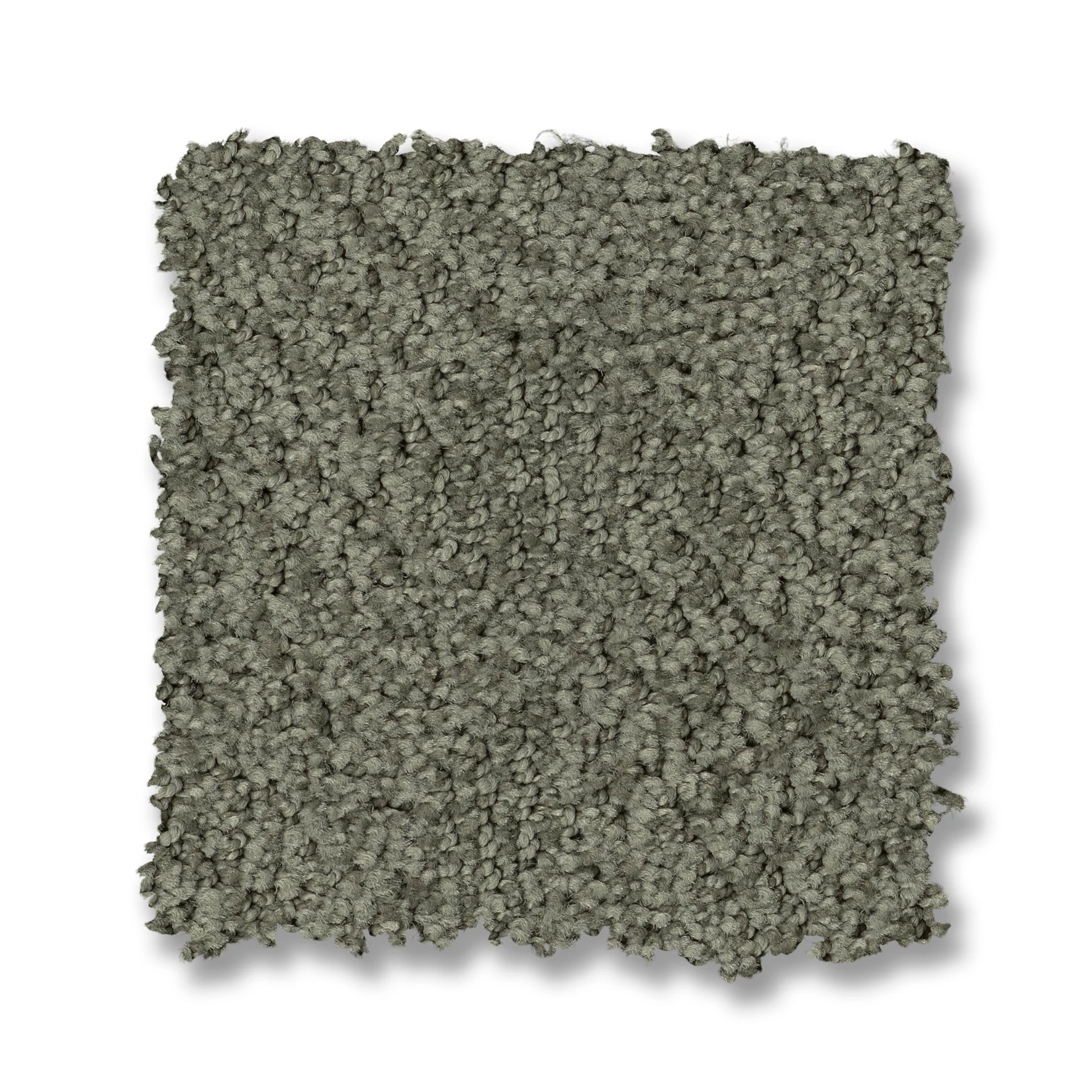 ARIO ENCHANTED SWATCH