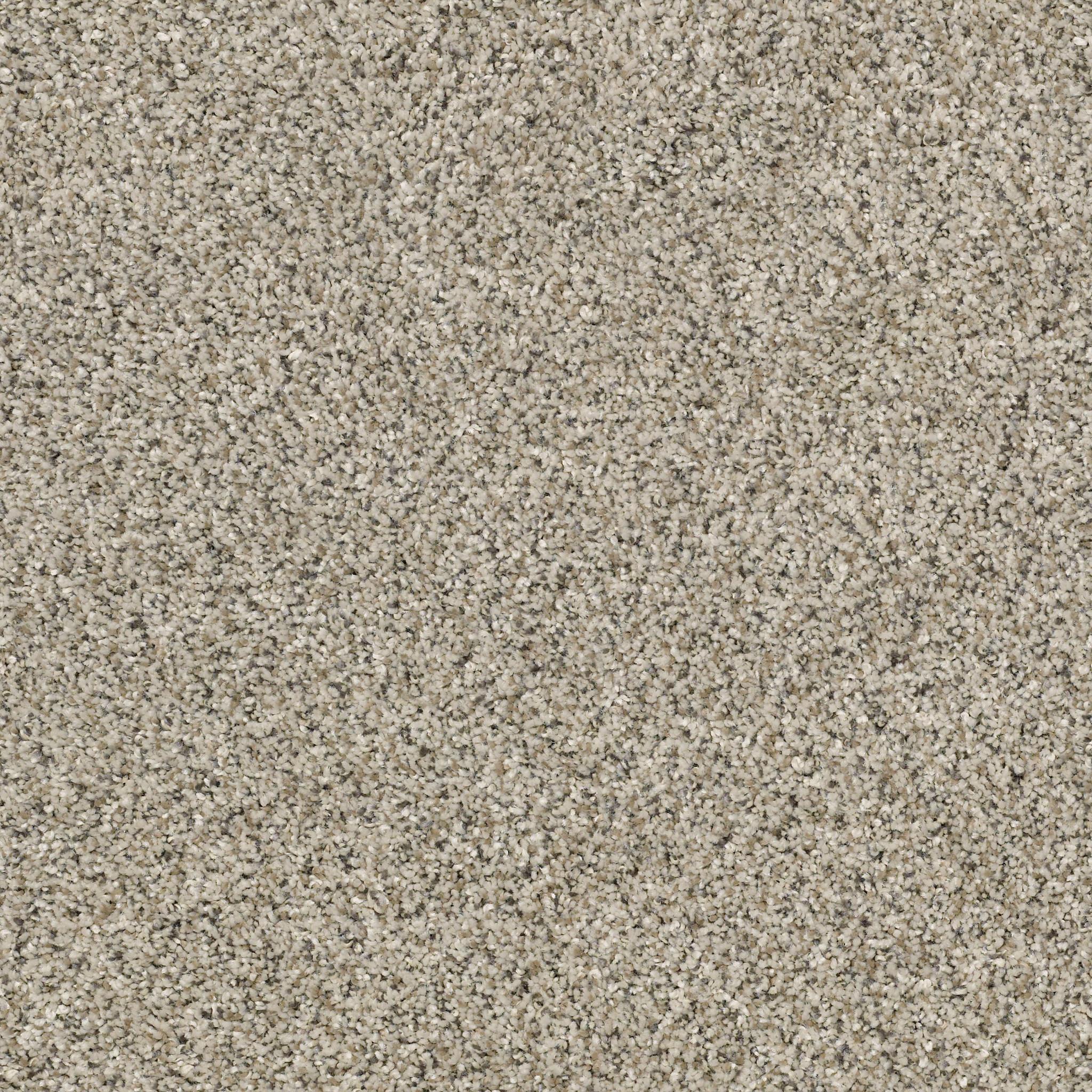All Set I by Shaw Floors
