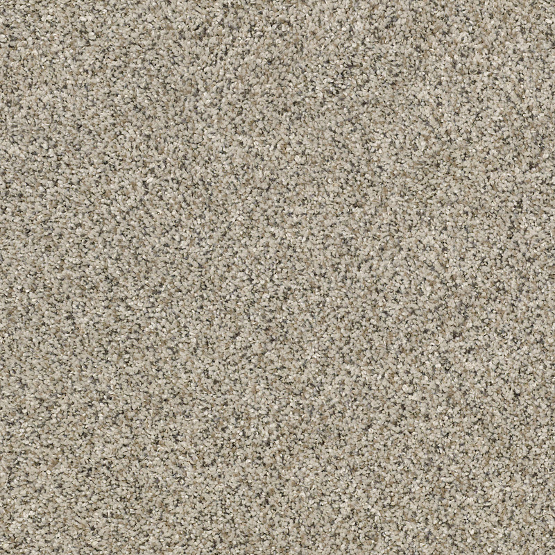 ALL SET I in River Rock by Shaw Floors