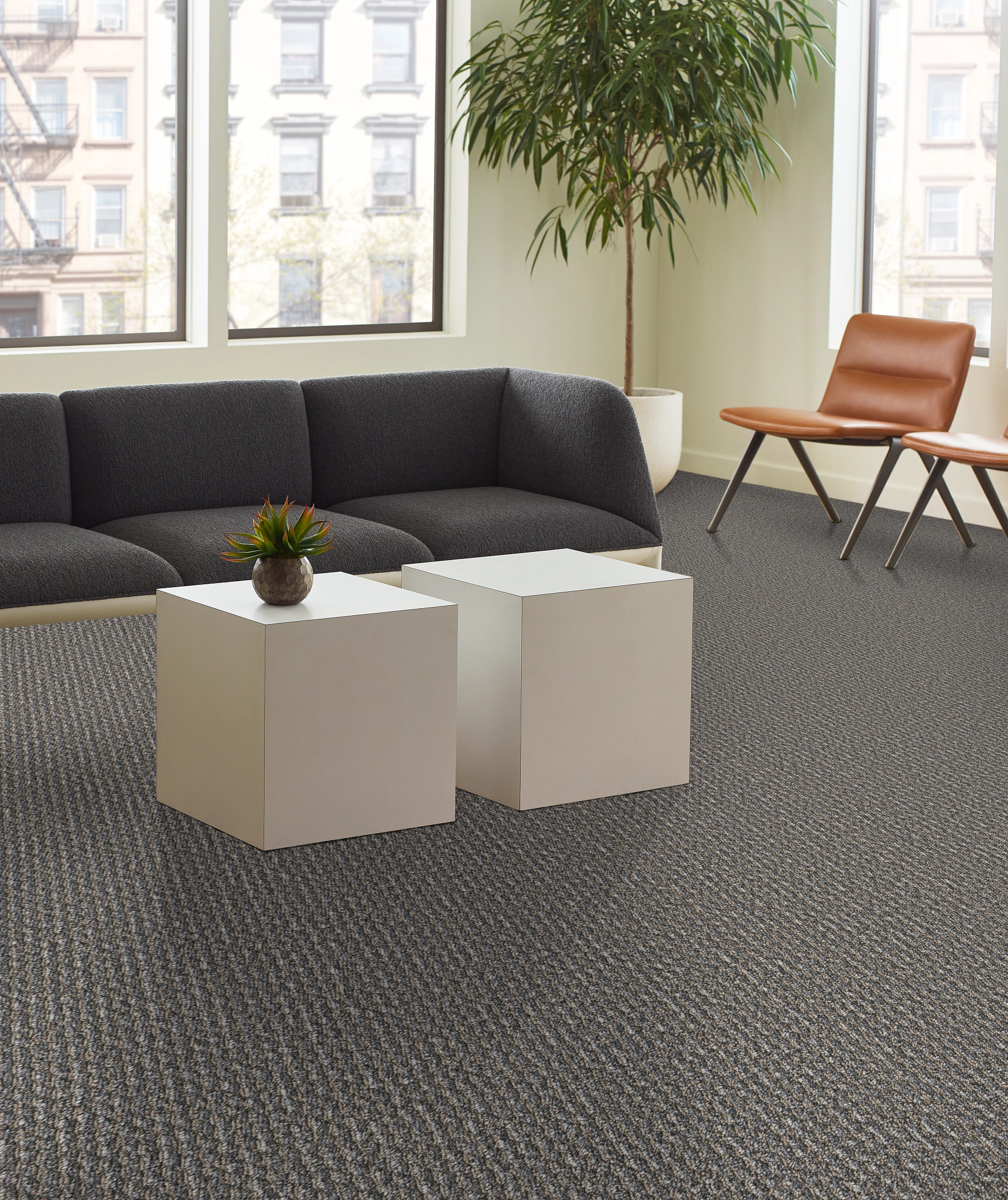 PRELUDE-54990-PREAMBLE-00508-room-image