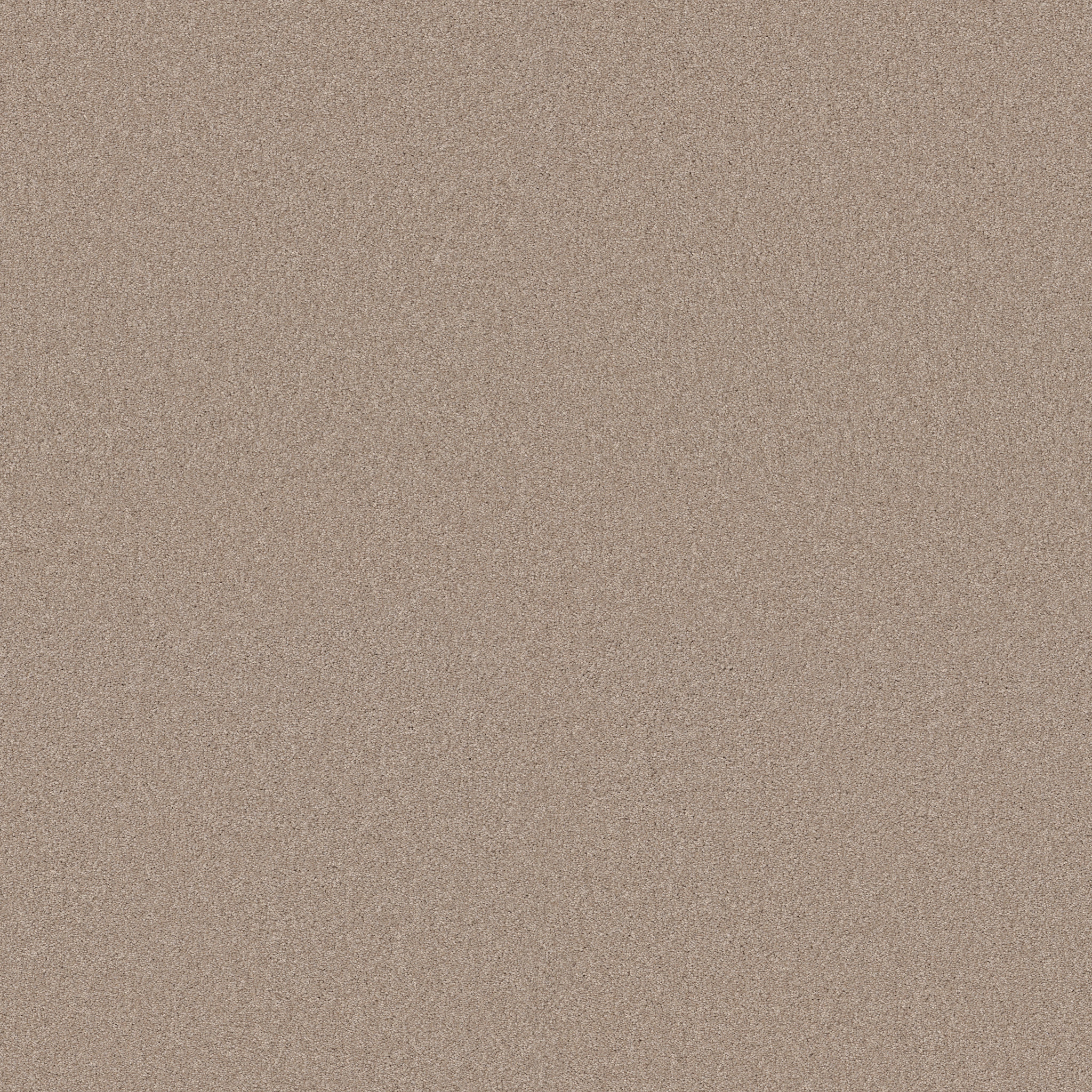 YOUR COMFORT II DINNER WITH FRIENDS MAIN