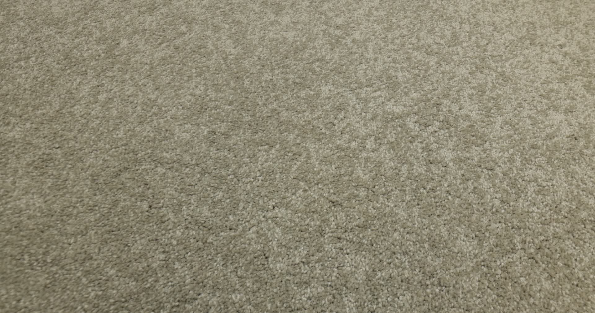 TIMELESS APPEAL I 12' CHINCHILLA 360PROD