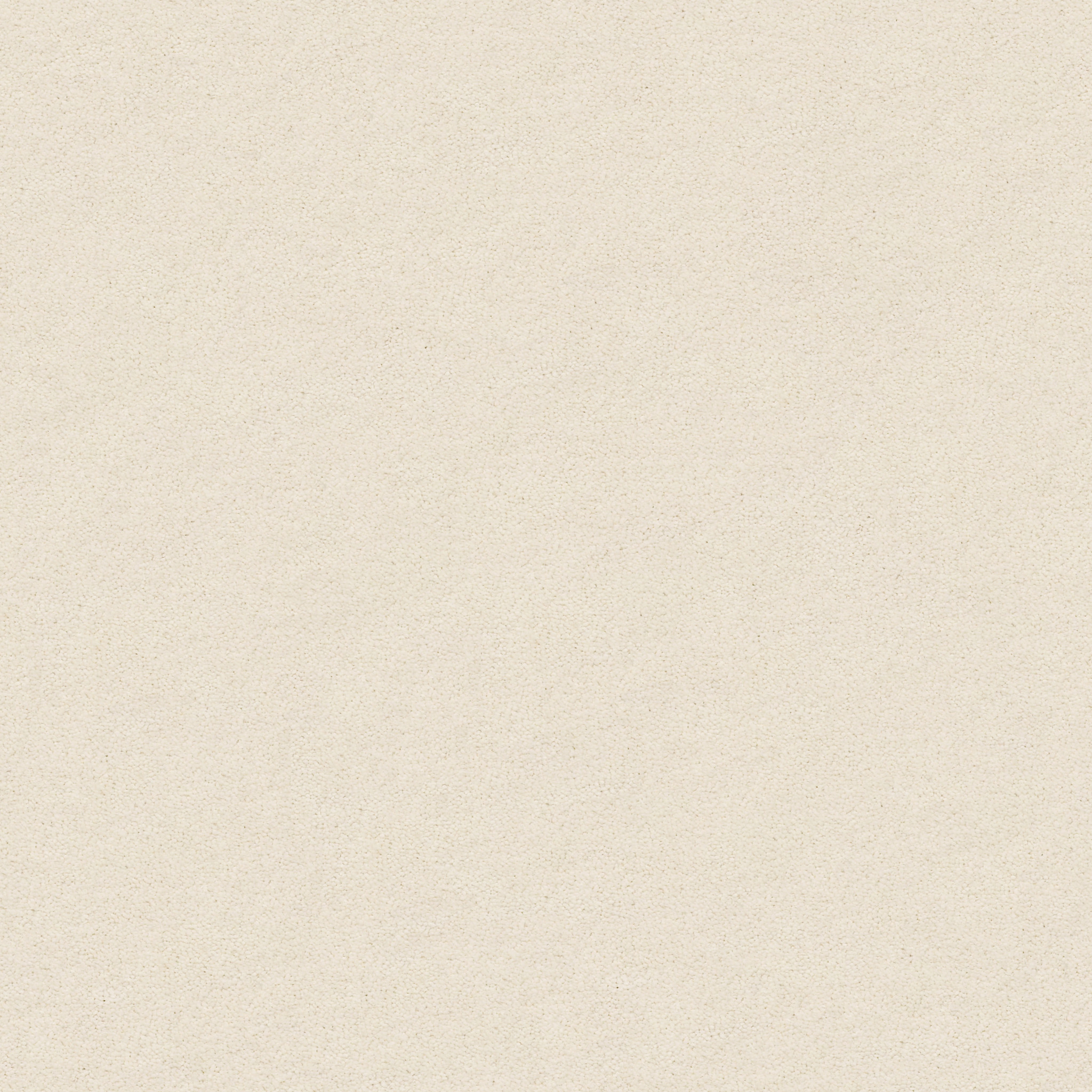 PERFECT CHOICE SOFT CHAMOIS MAIN