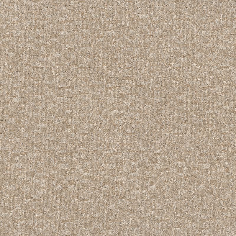 Paw Tay Broadloom Carpet in Birch color, 100% nylon material, 12 ft width, cut and loop pattern design