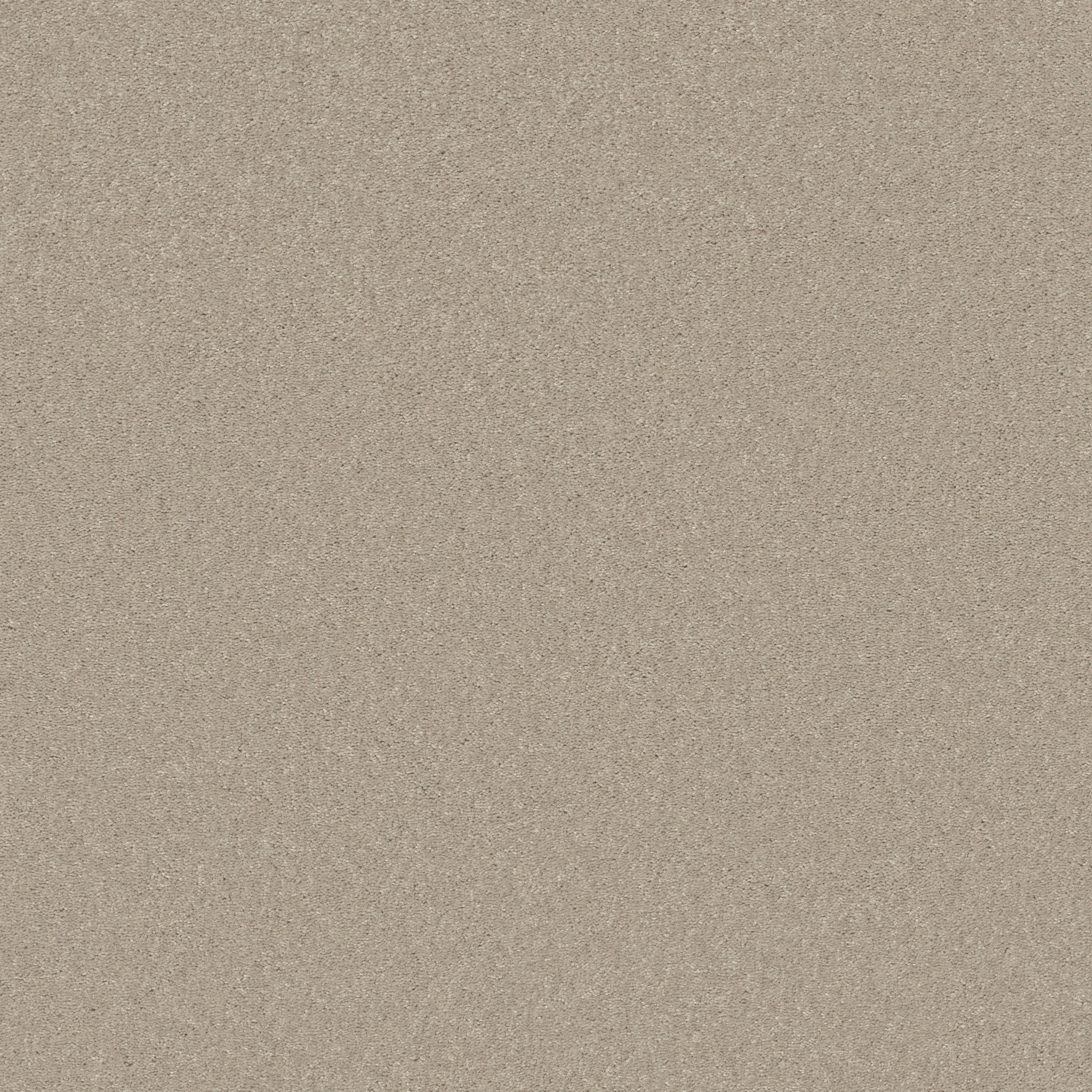 BEAUTIFULLY SIMPLE I 15' ECRU MAIN