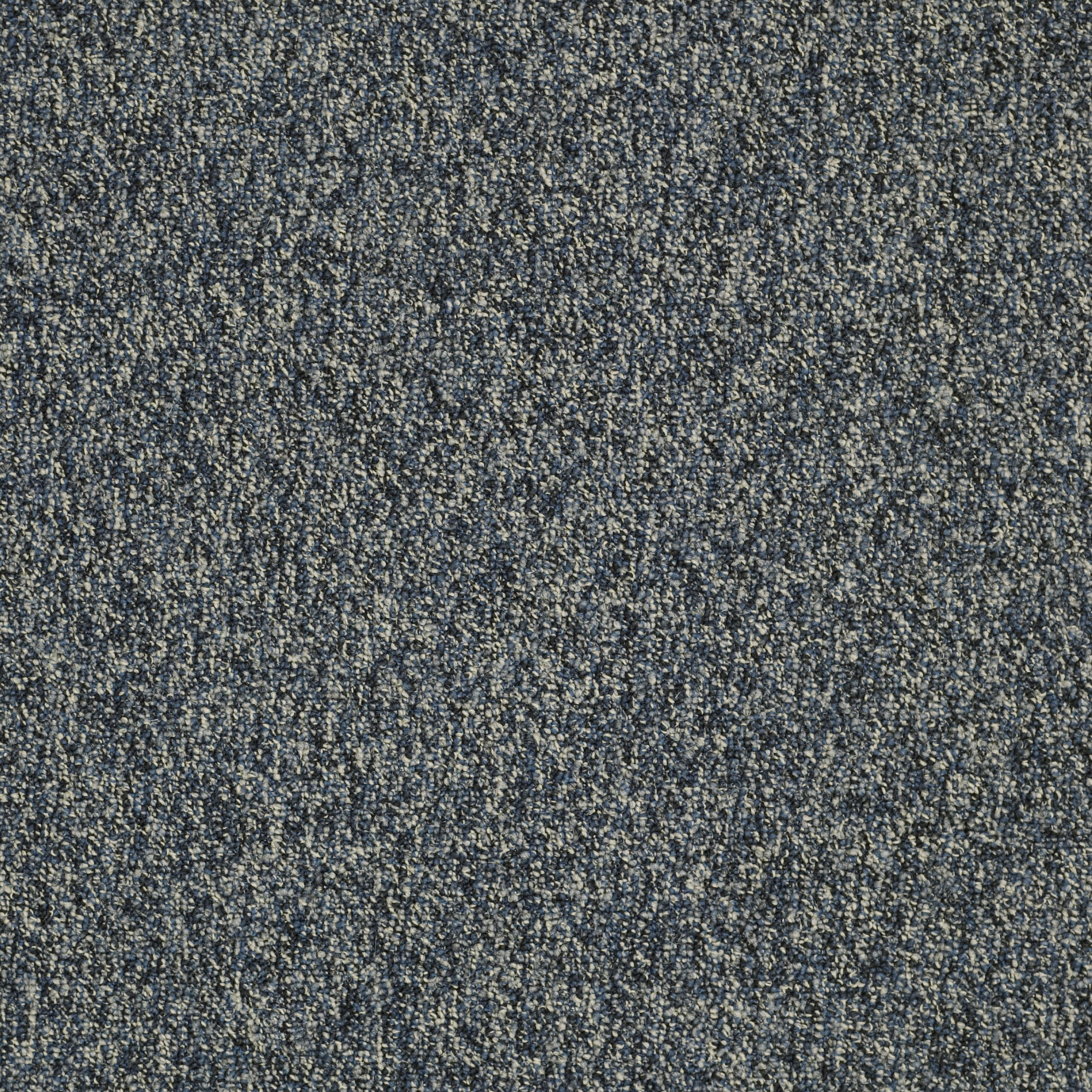 FRANCHISE-II-28-54744-TORRENT-00410-main-image