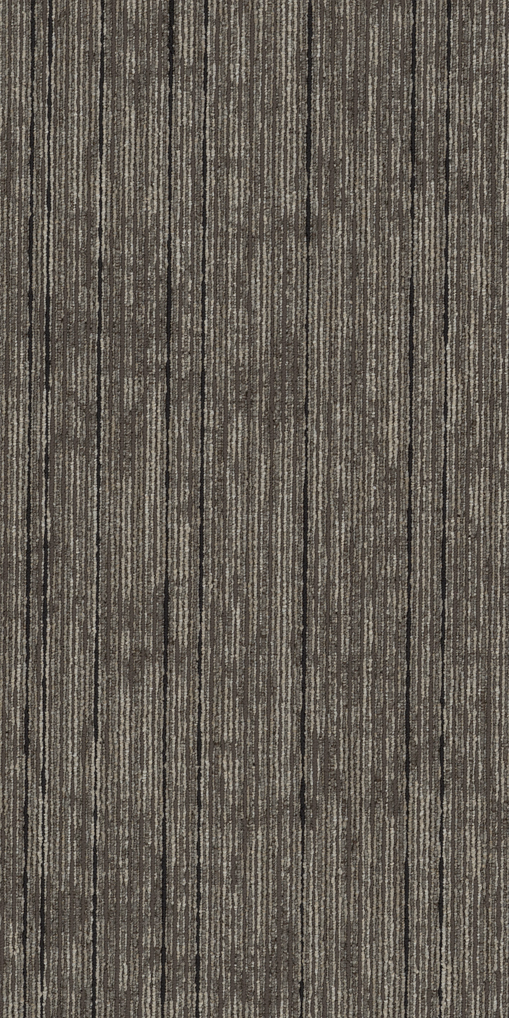 AIM-HIGH-54996-INVEST-00205-main-image