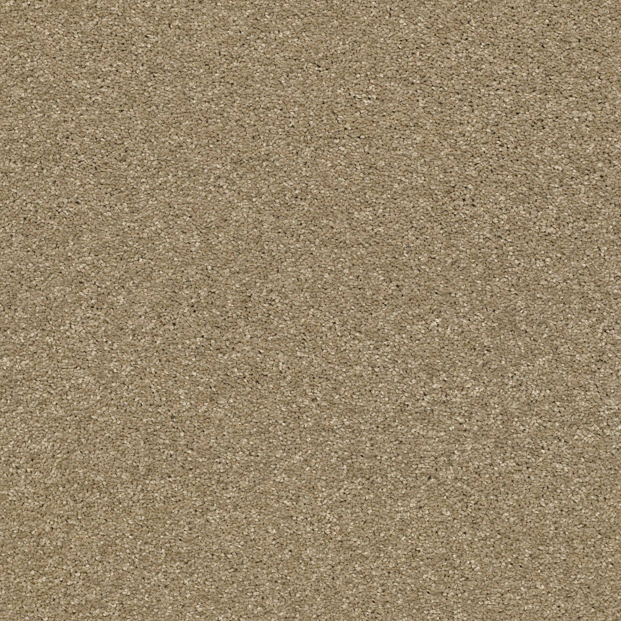 BASIC RULES GOLD RUSH MAIN